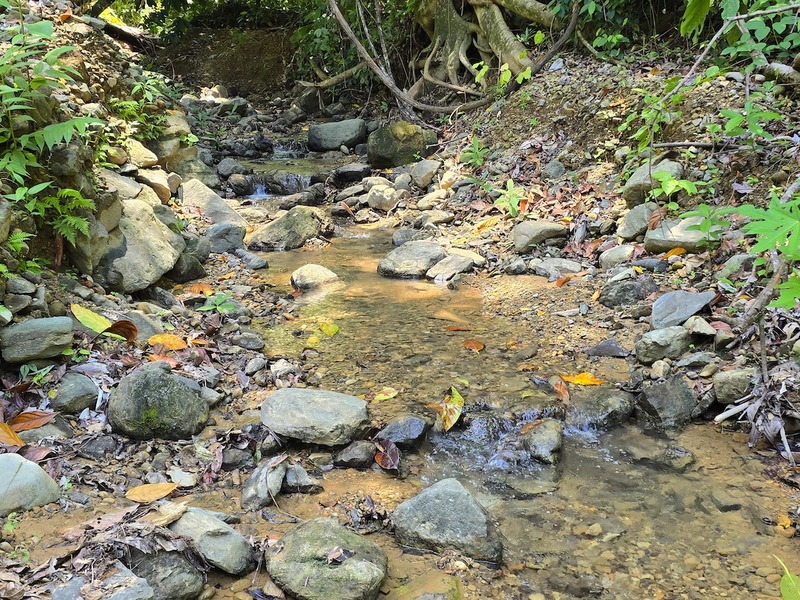 0 bed Land For Sale in Uvita, Puntarenas - hero 16