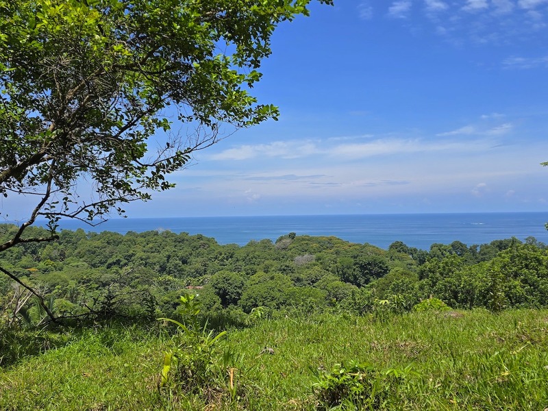 0 bed Land For Sale in Uvita, Puntarenas - 1