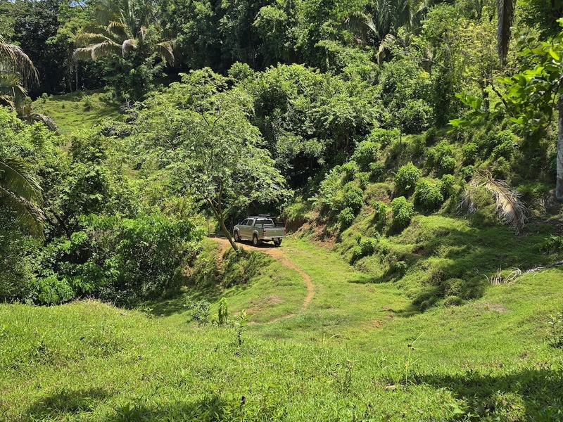 0 bed Land For Sale in Uvita, Puntarenas - hero 6