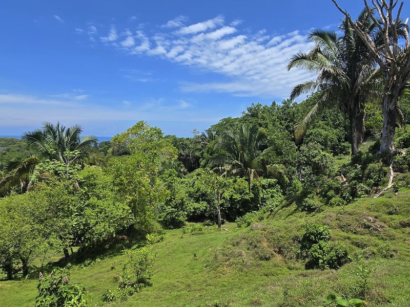 0 bed Land For Sale in Uvita, Puntarenas - hero 10