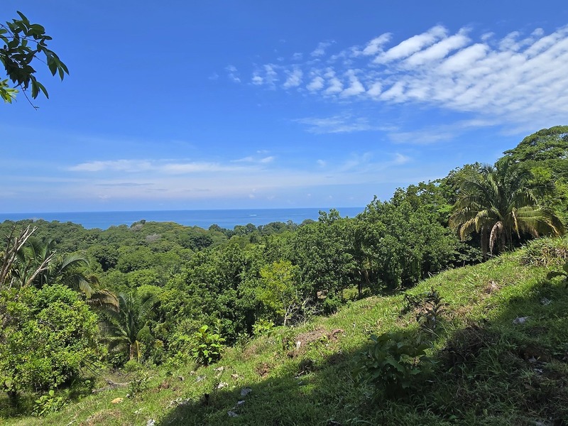 0 bed Land For Sale in Uvita, Puntarenas - hero 14