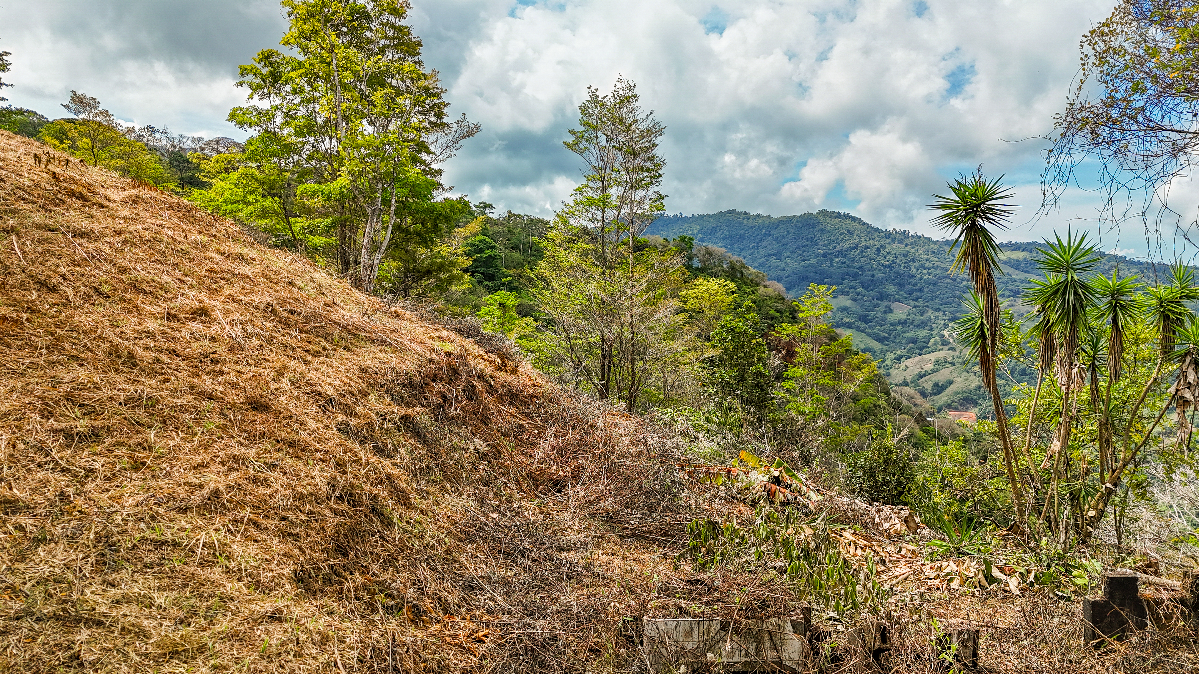 0 bed Land For Sale in Uvita, Puntarenas - thumb 8