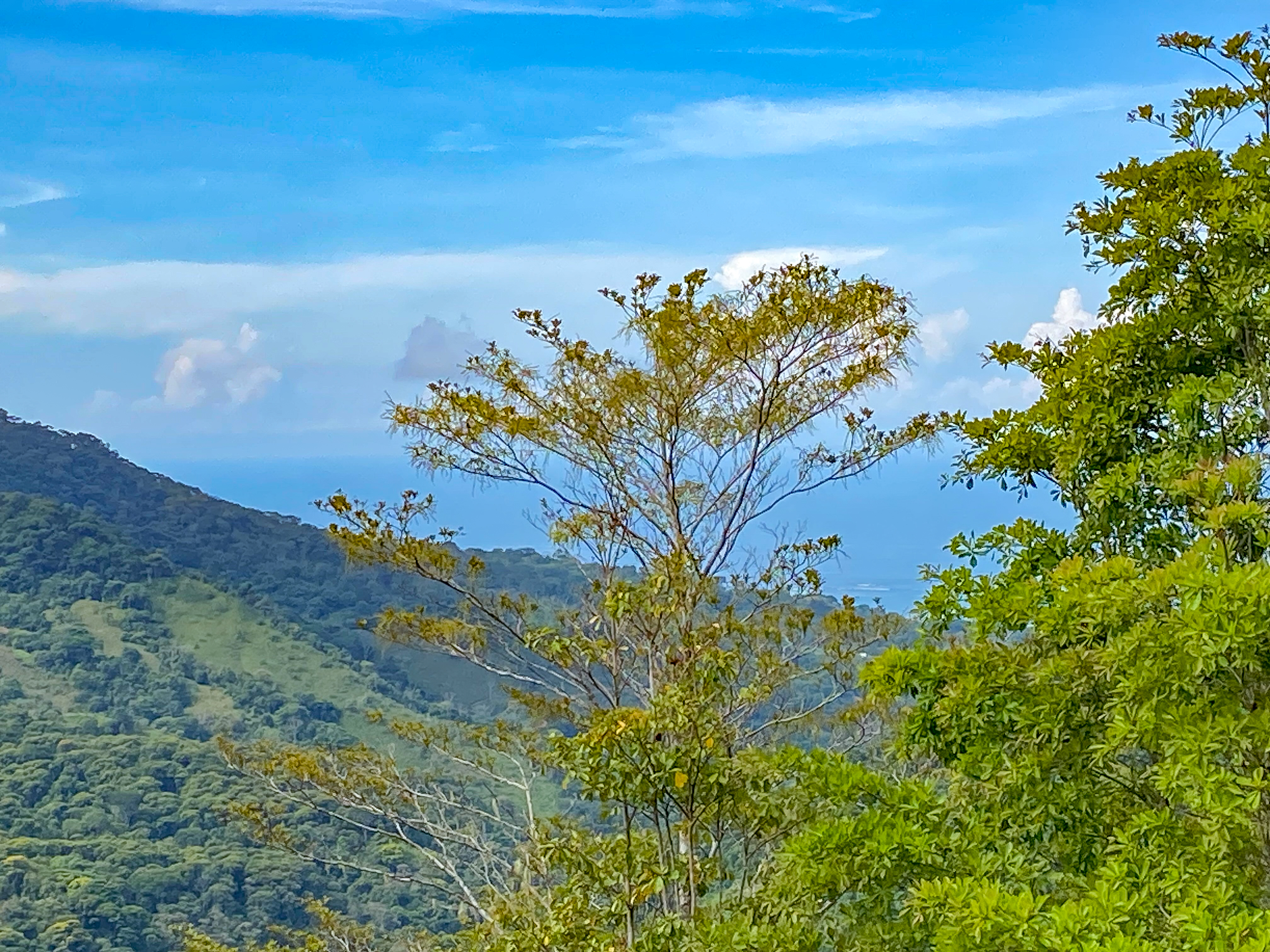 0 bed Land For Sale in Uvita, Puntarenas - thumb 5