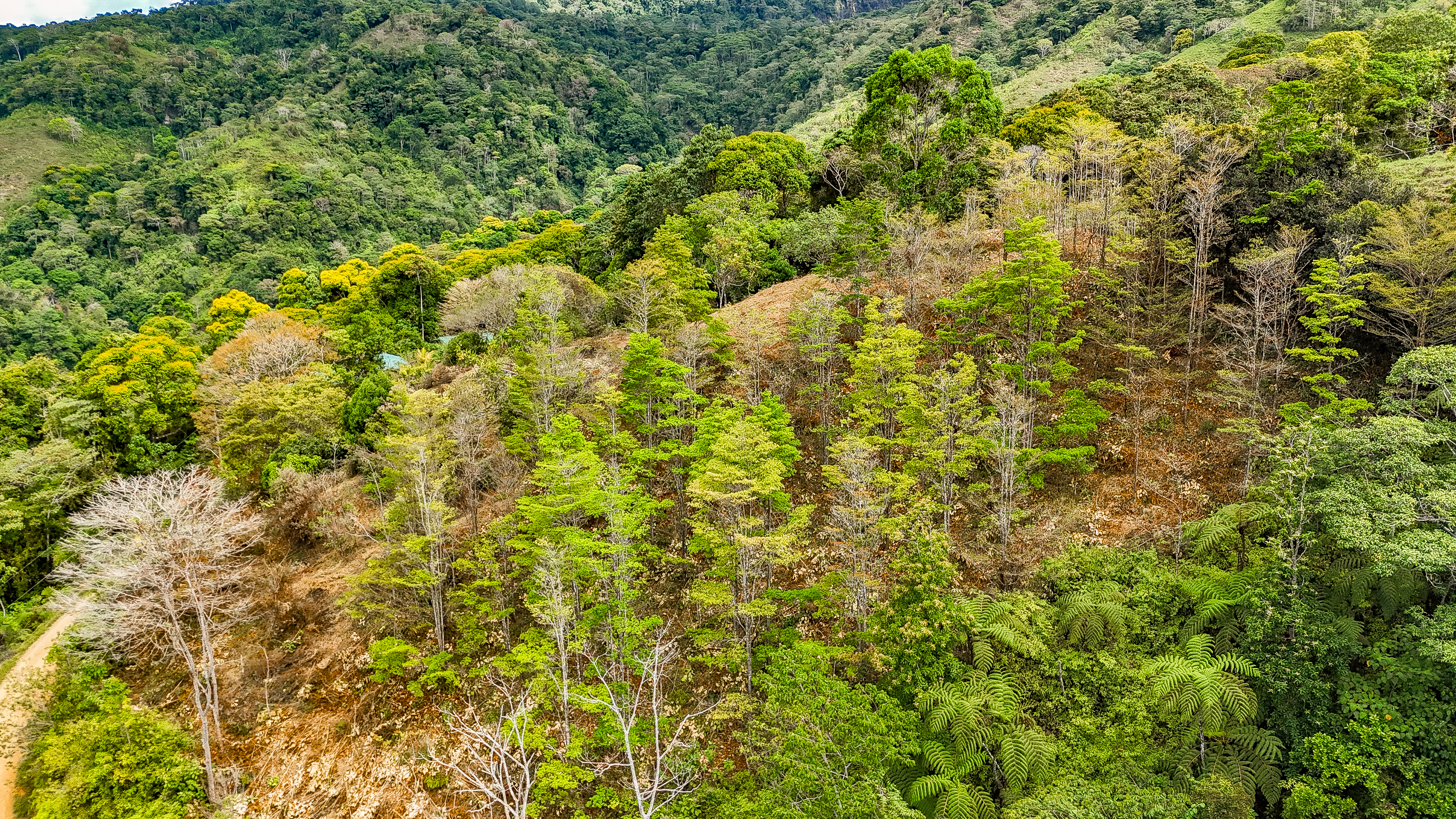 0 bed Land For Sale in Uvita, Puntarenas - thumb 9