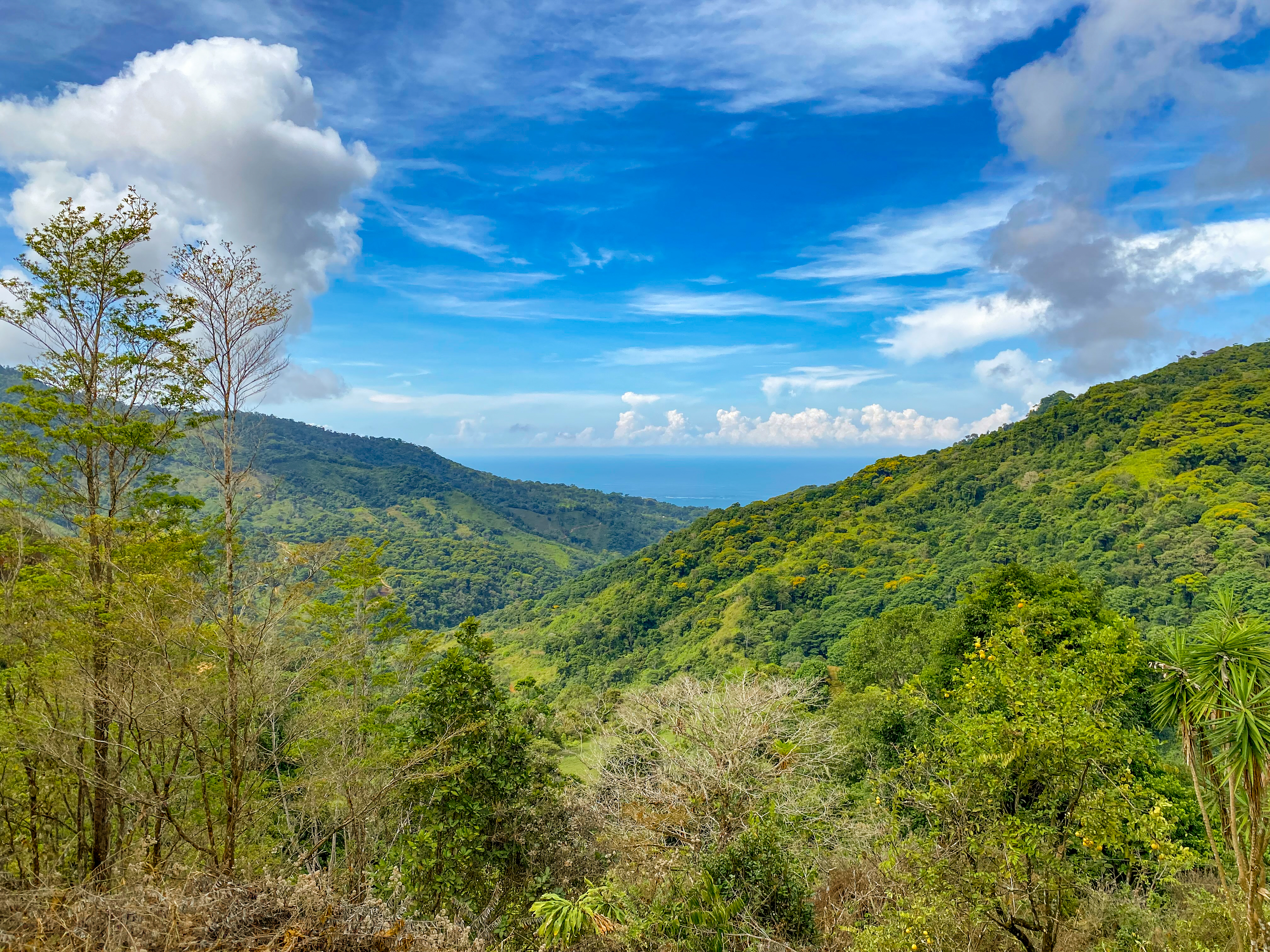 0 bed Land For Sale in Uvita, Puntarenas - thumb 4