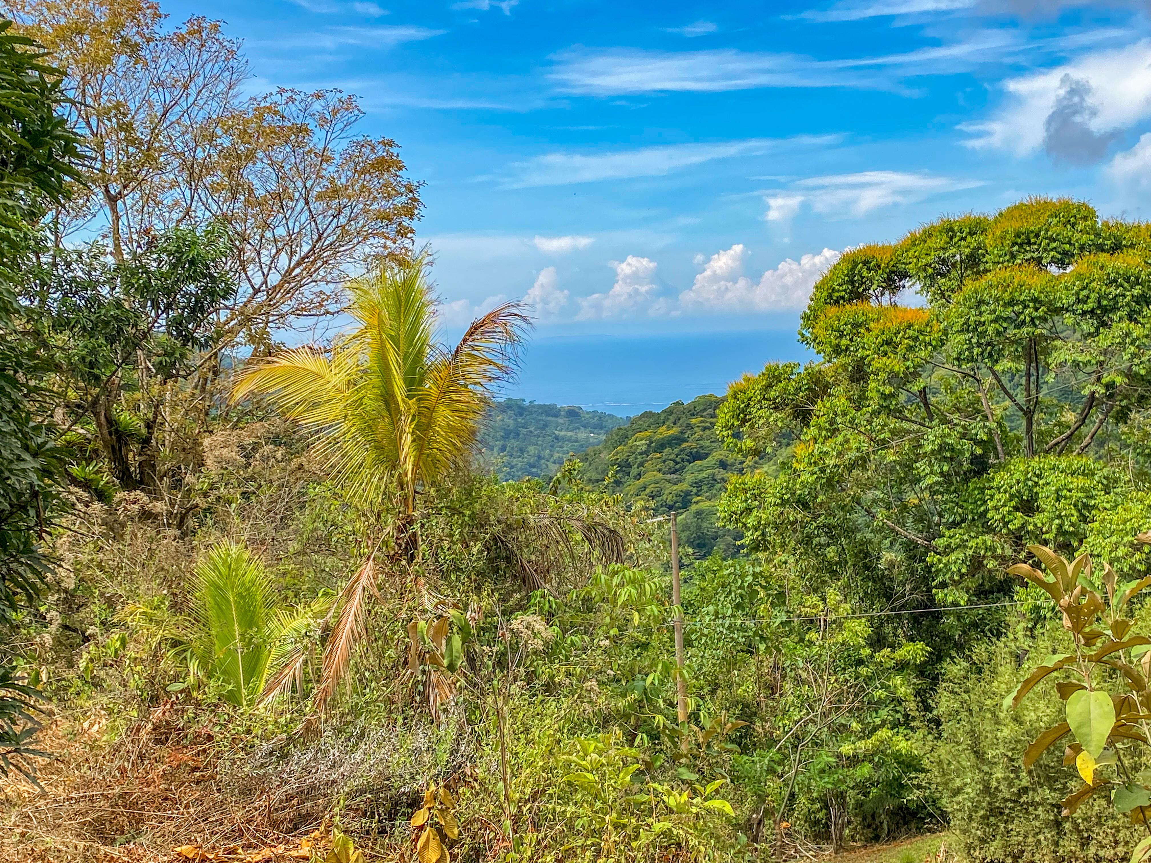 0 bed Land For Sale in Uvita, Puntarenas - thumb 23