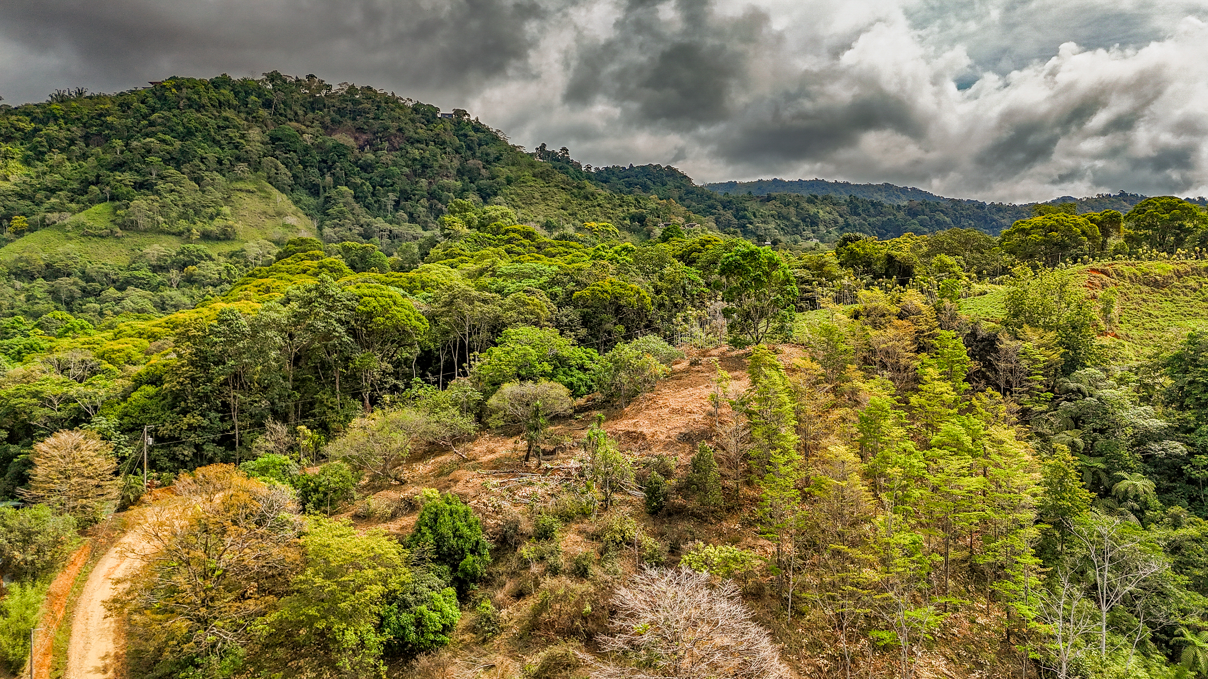 0 bed Land For Sale in Uvita, Puntarenas - thumb 28