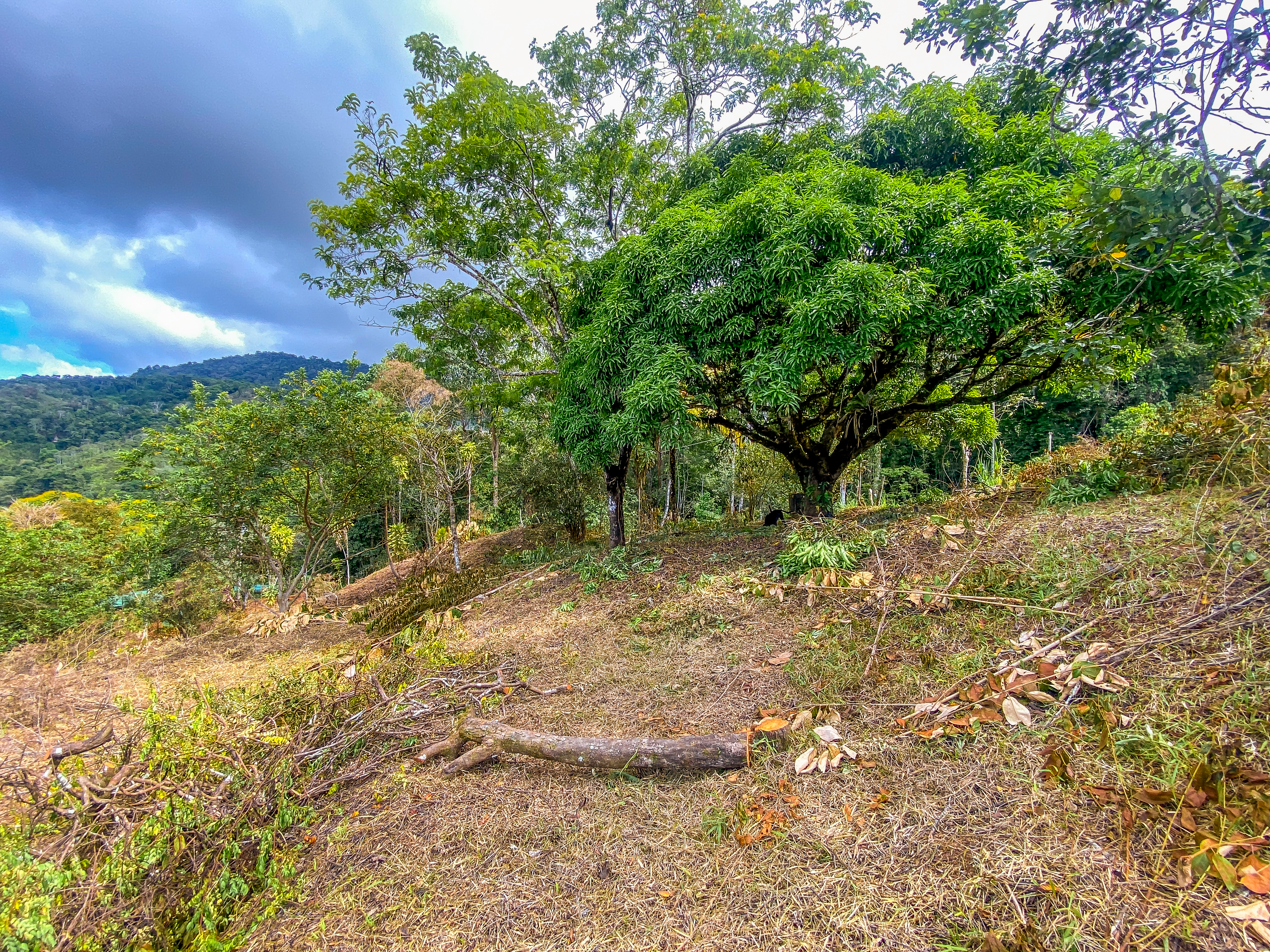 0 bed Land For Sale in Uvita, Puntarenas - thumb 14