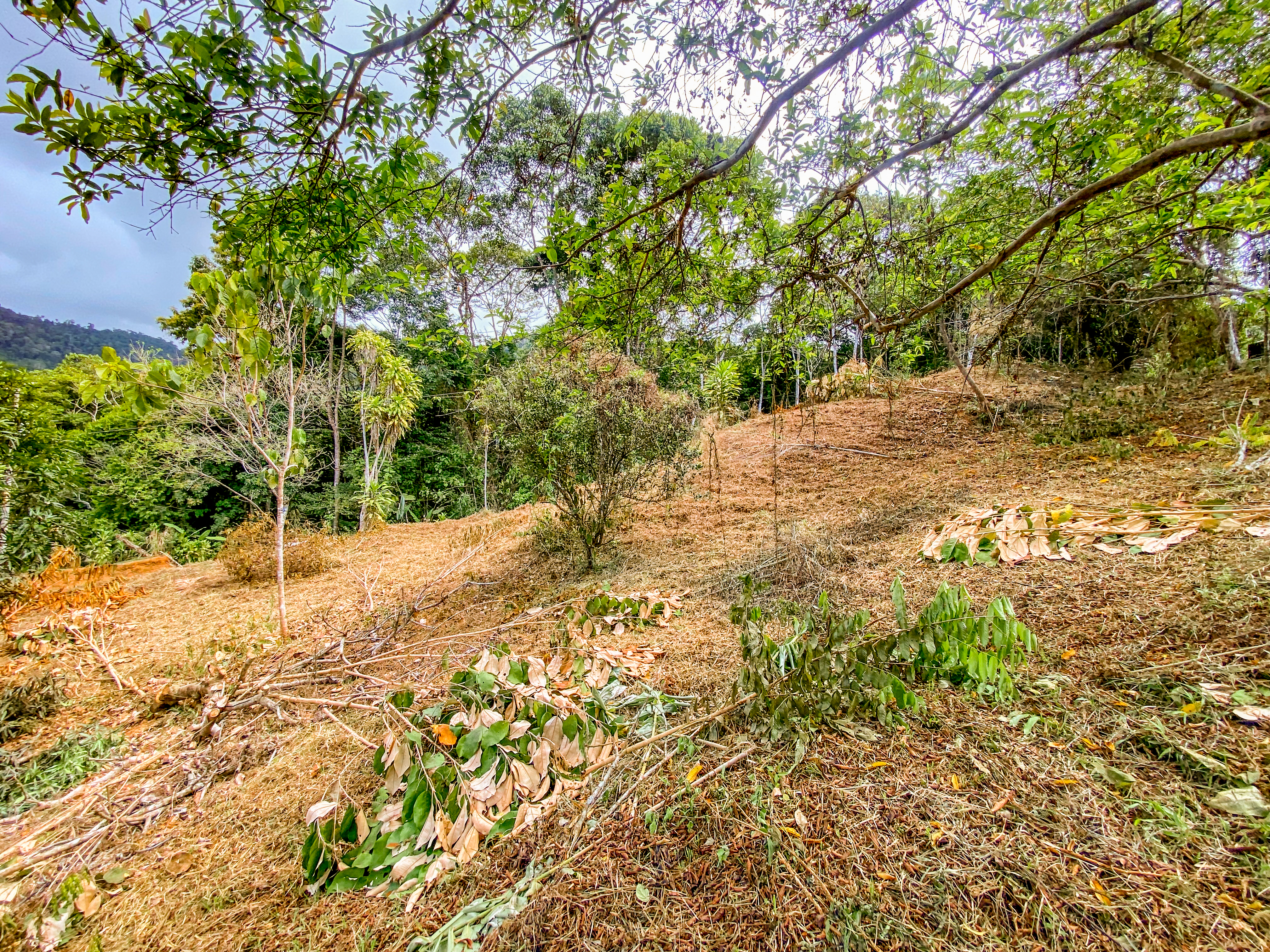 0 bed Land For Sale in Uvita, Puntarenas - thumb 20