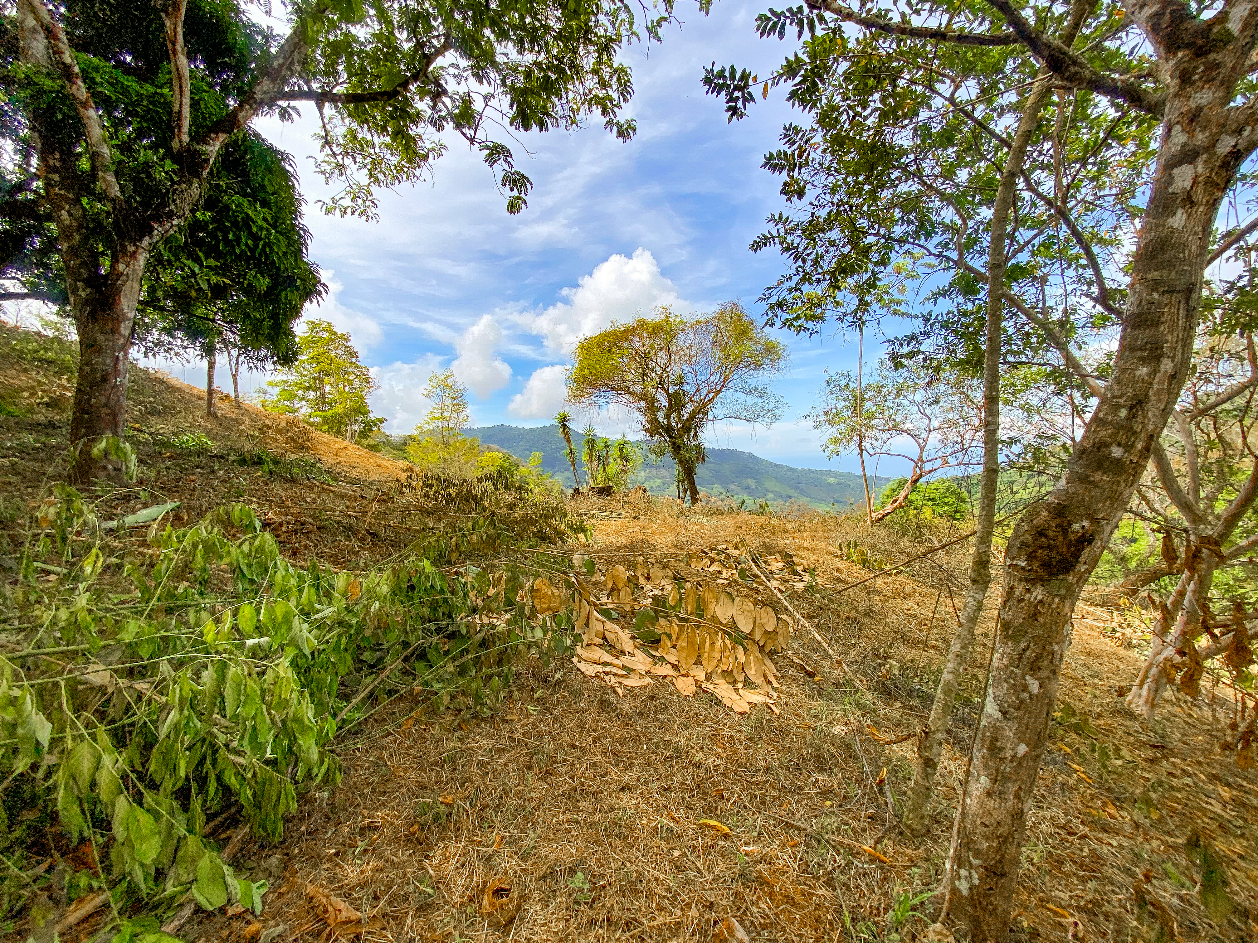 0 bed Land For Sale in Uvita, Puntarenas - thumb 15