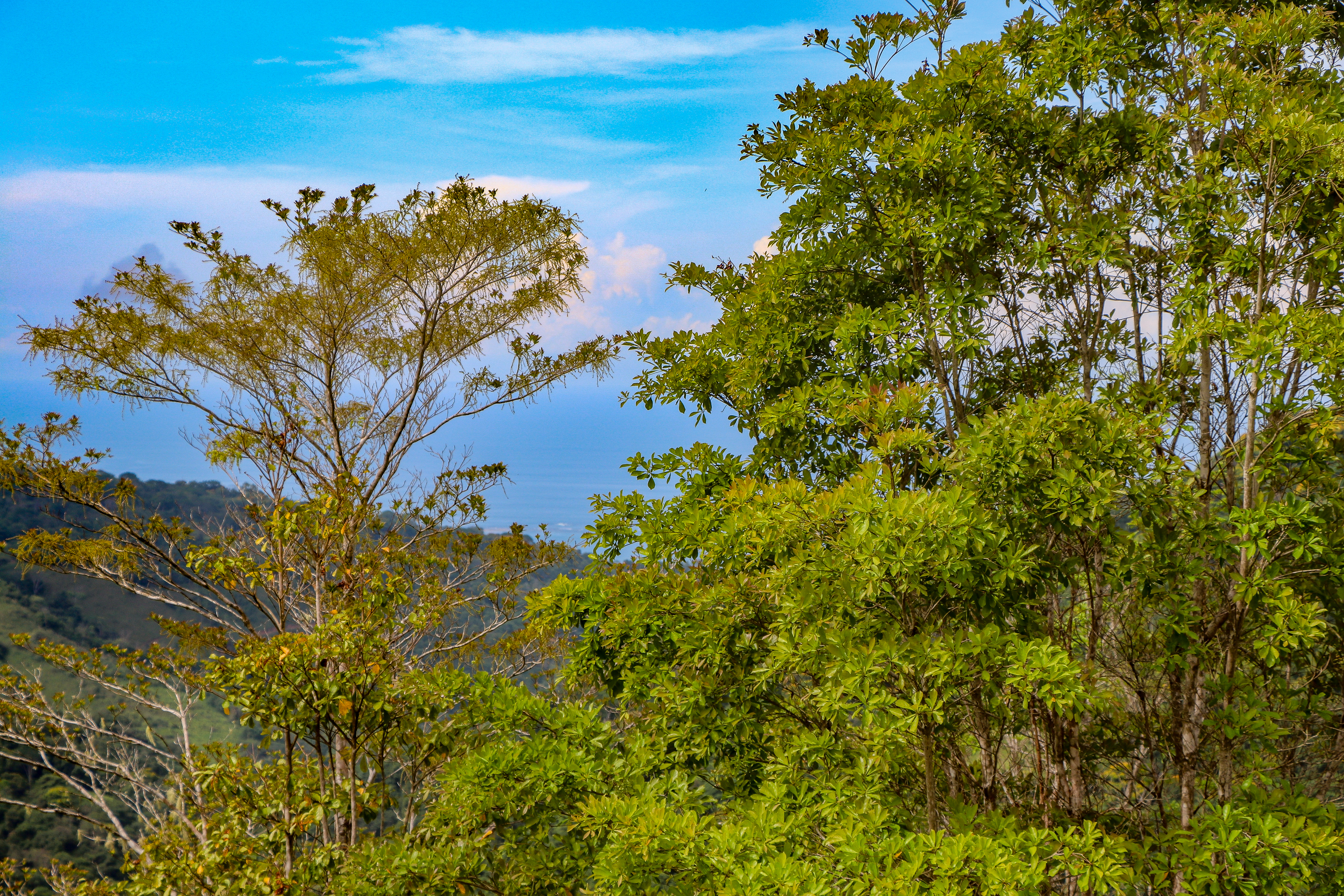 0 bed Land For Sale in Uvita, Puntarenas - thumb 22