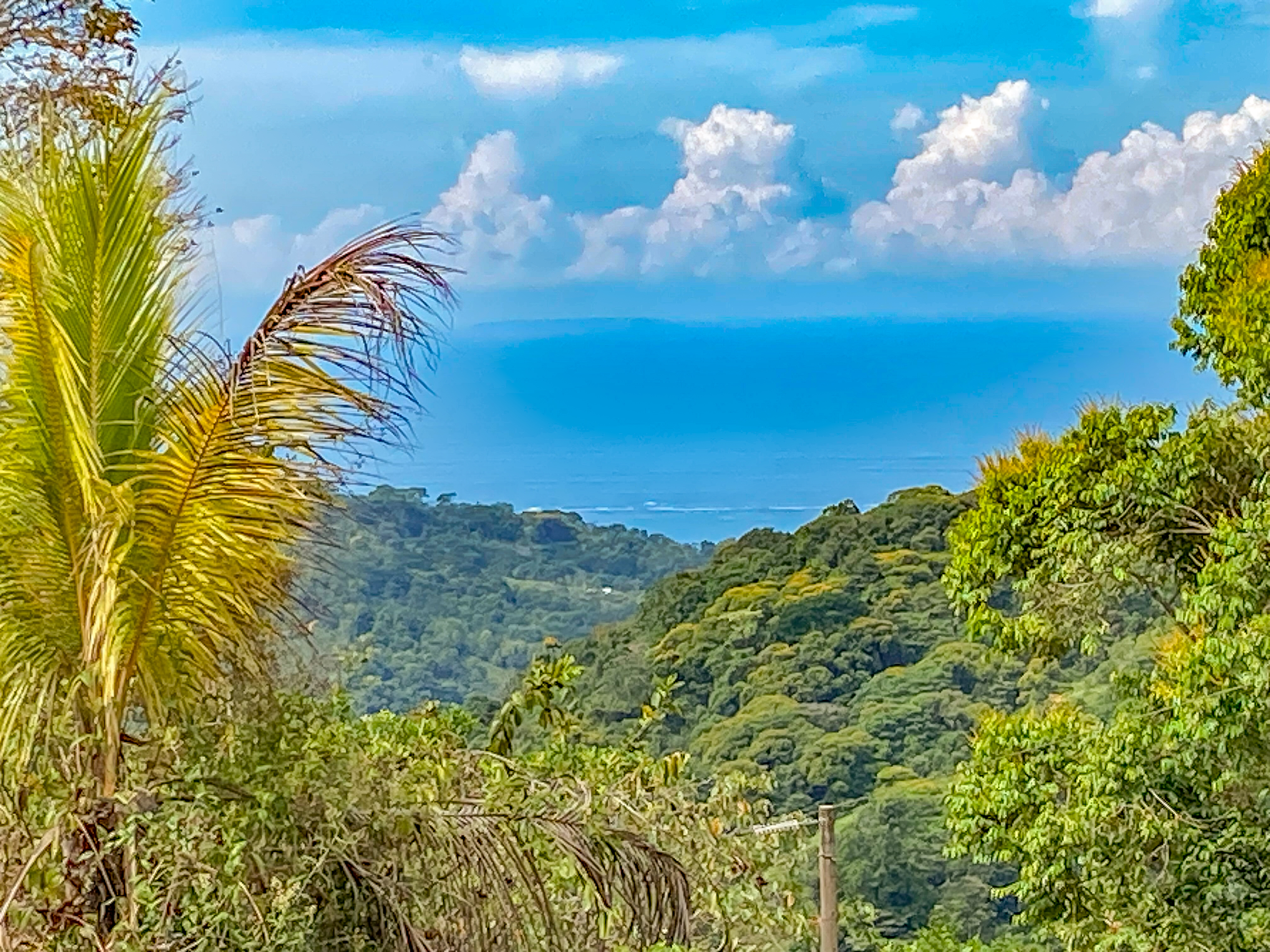 0 bed Land For Sale in Uvita, Puntarenas - thumb 6