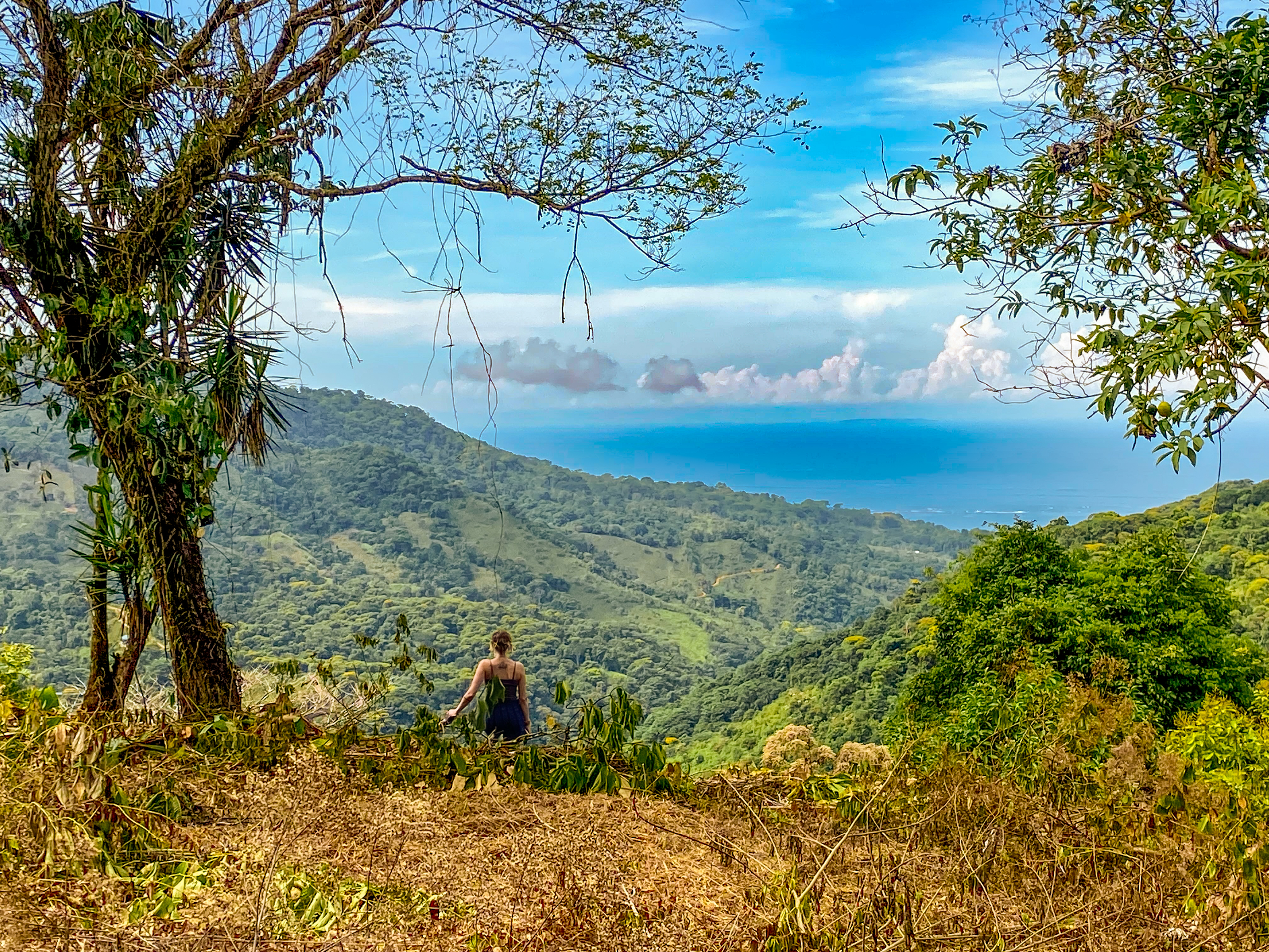 0 bed Land For Sale in Uvita, Puntarenas - thumb 1