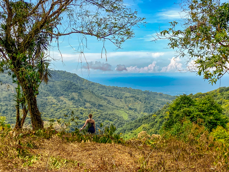 0 bed Land For Sale in Uvita, Puntarenas - 1