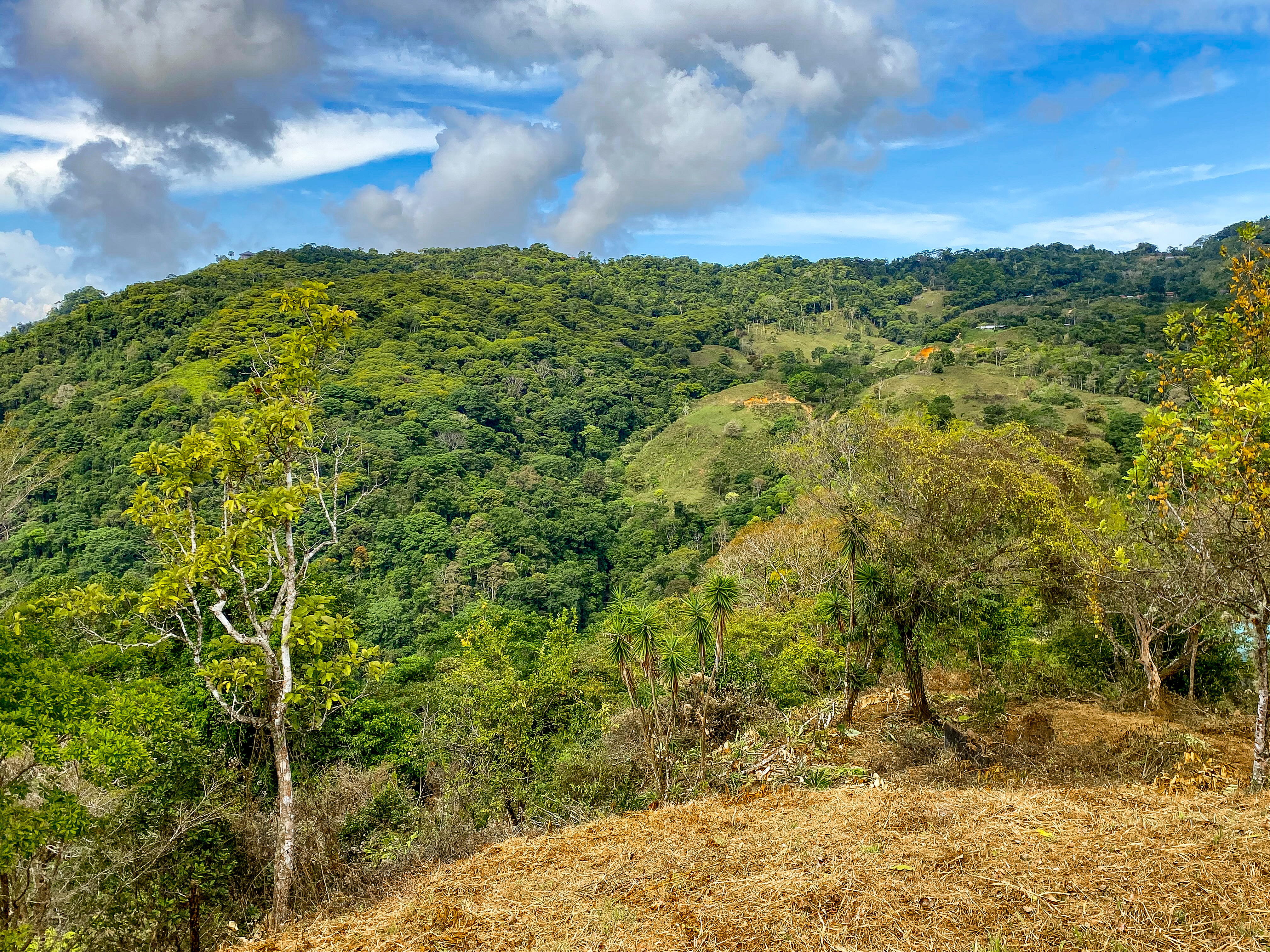 0 bed Land For Sale in Uvita, Puntarenas - thumb 12