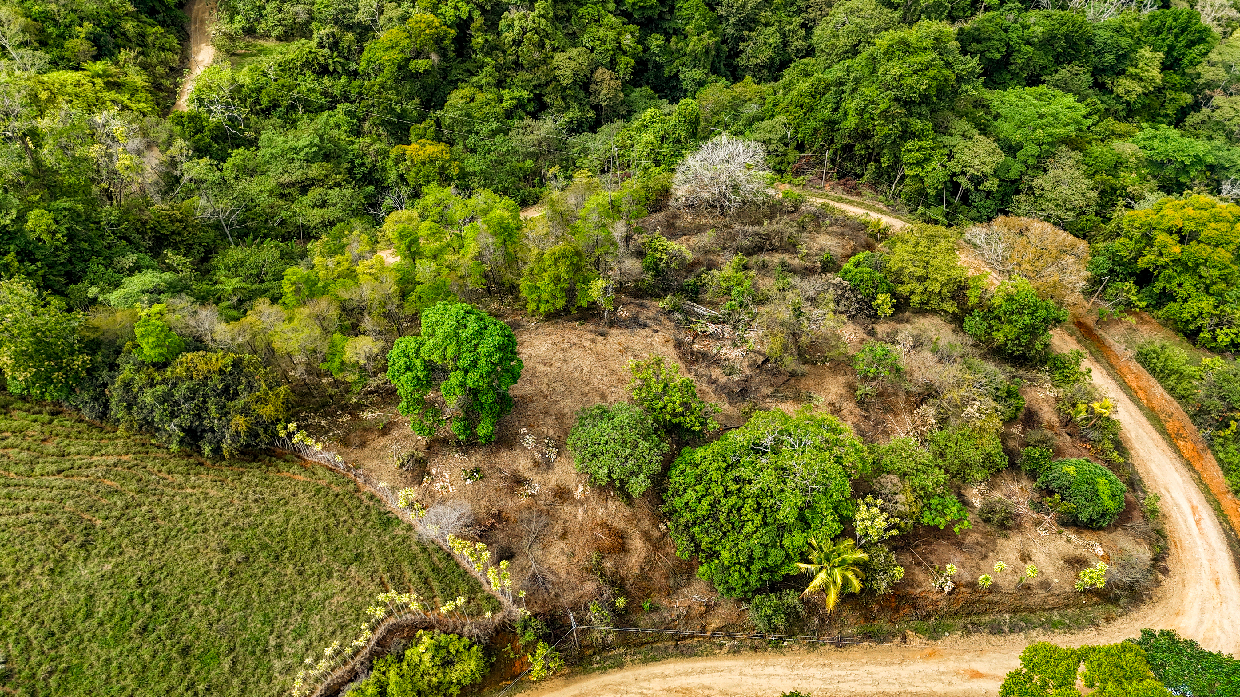 0 bed Land For Sale in Uvita, Puntarenas - thumb 3