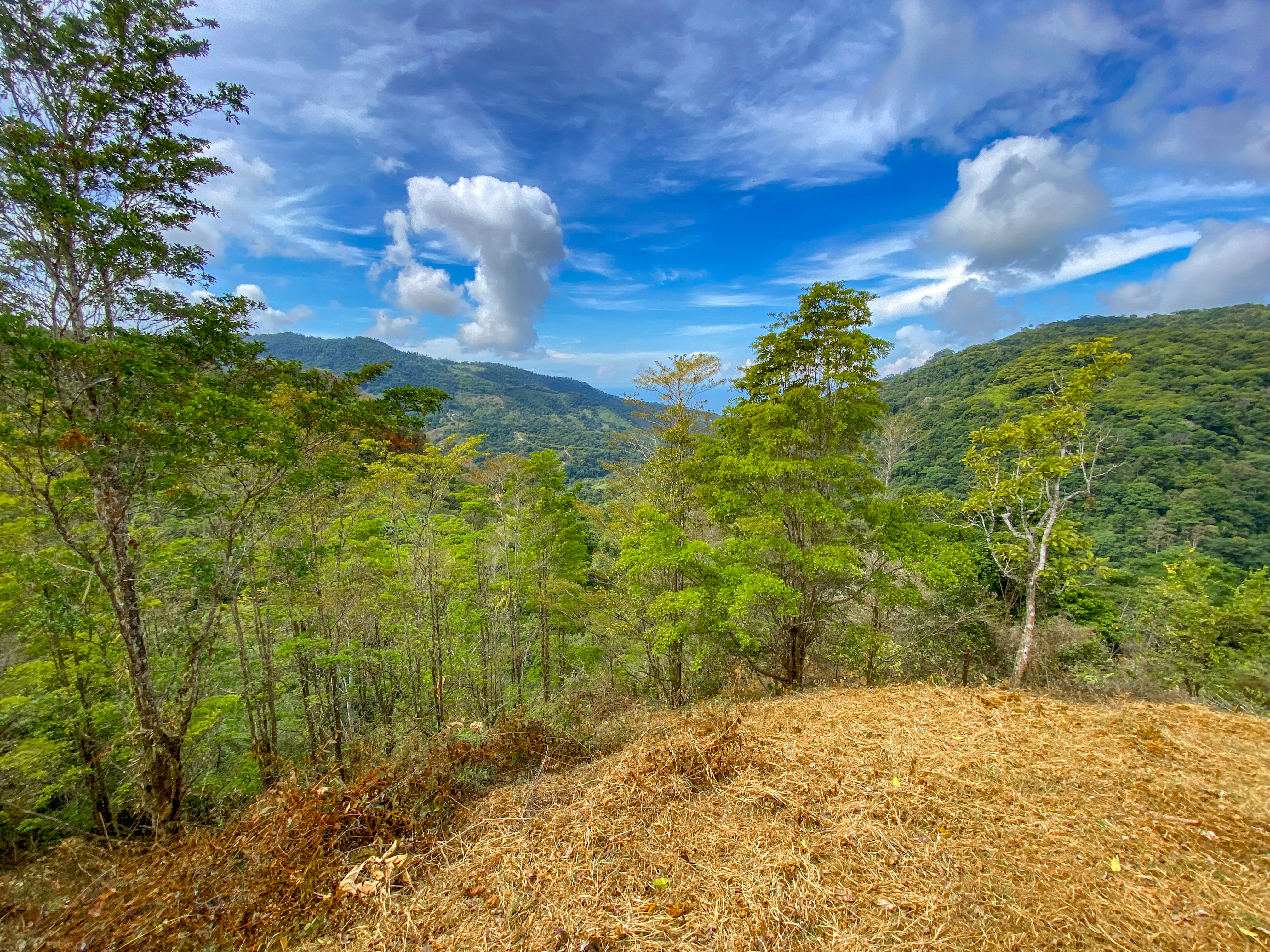 0 bed Land For Sale in Uvita, Puntarenas - thumb 11