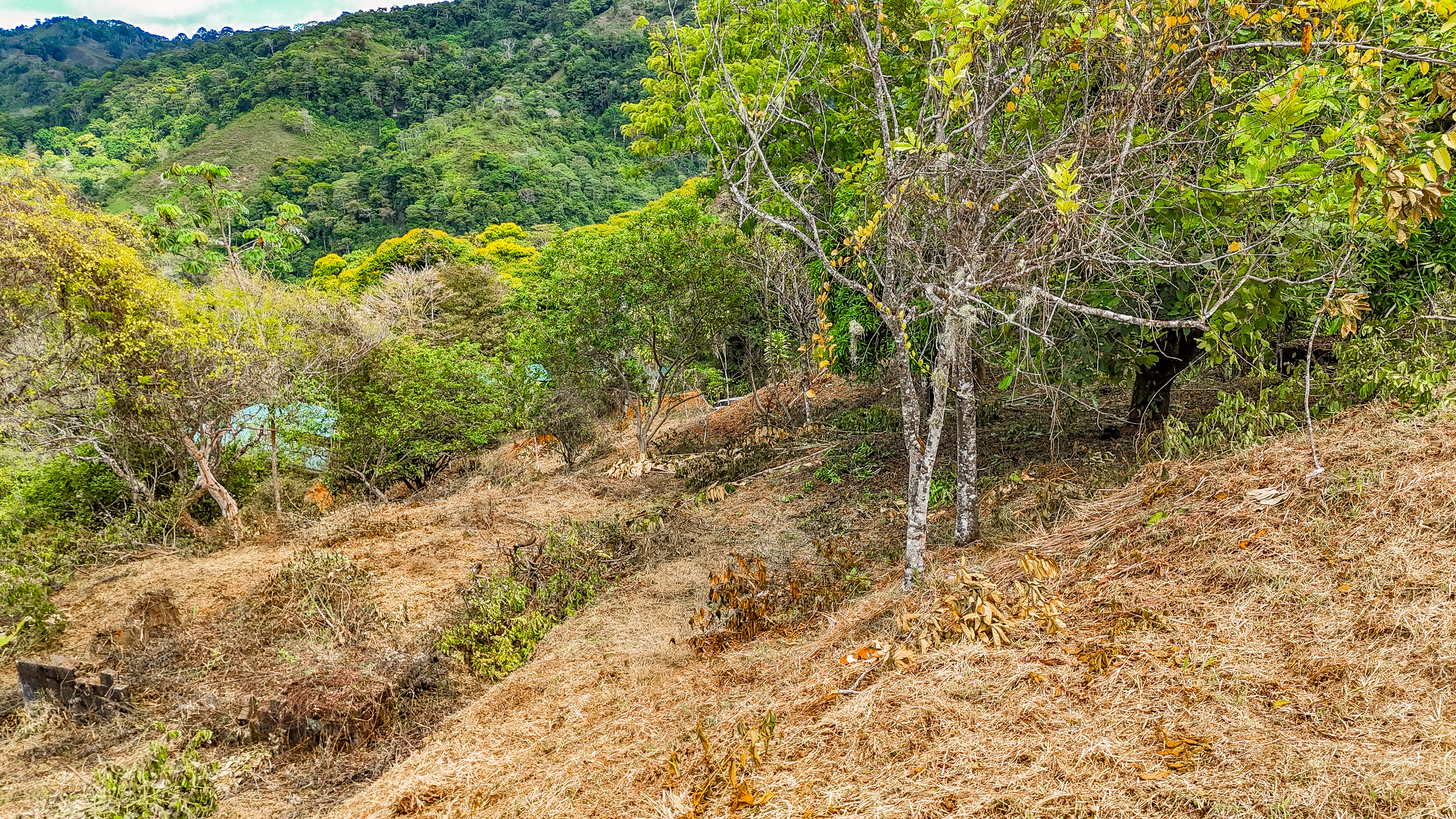 0 bed Land For Sale in Uvita, Puntarenas - thumb 10