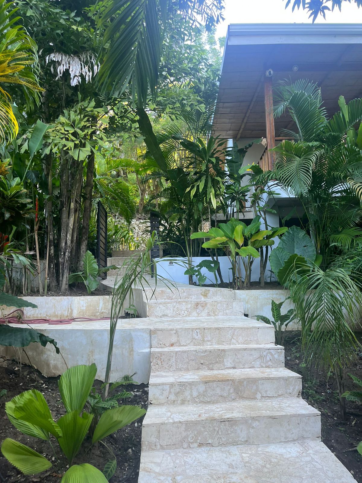 3 bed Single Family Homes For Sale in Santa Teresa, Puntarenas - thumb 23