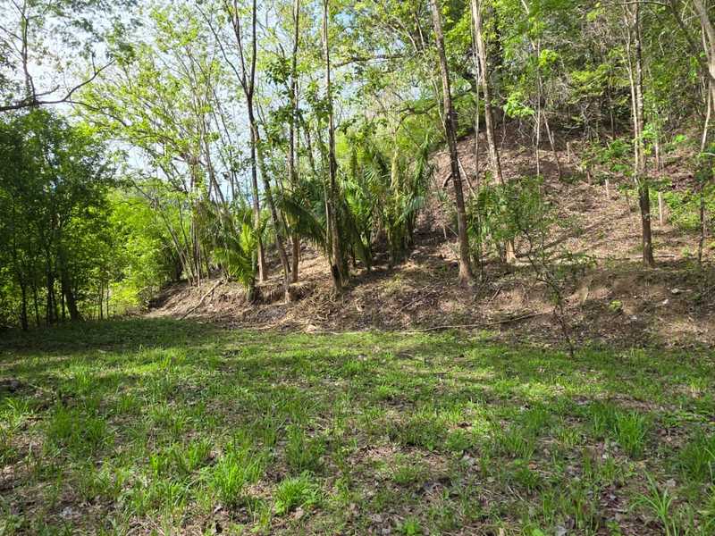 0 bed Land For Sale in Samara, Guanacaste - 1