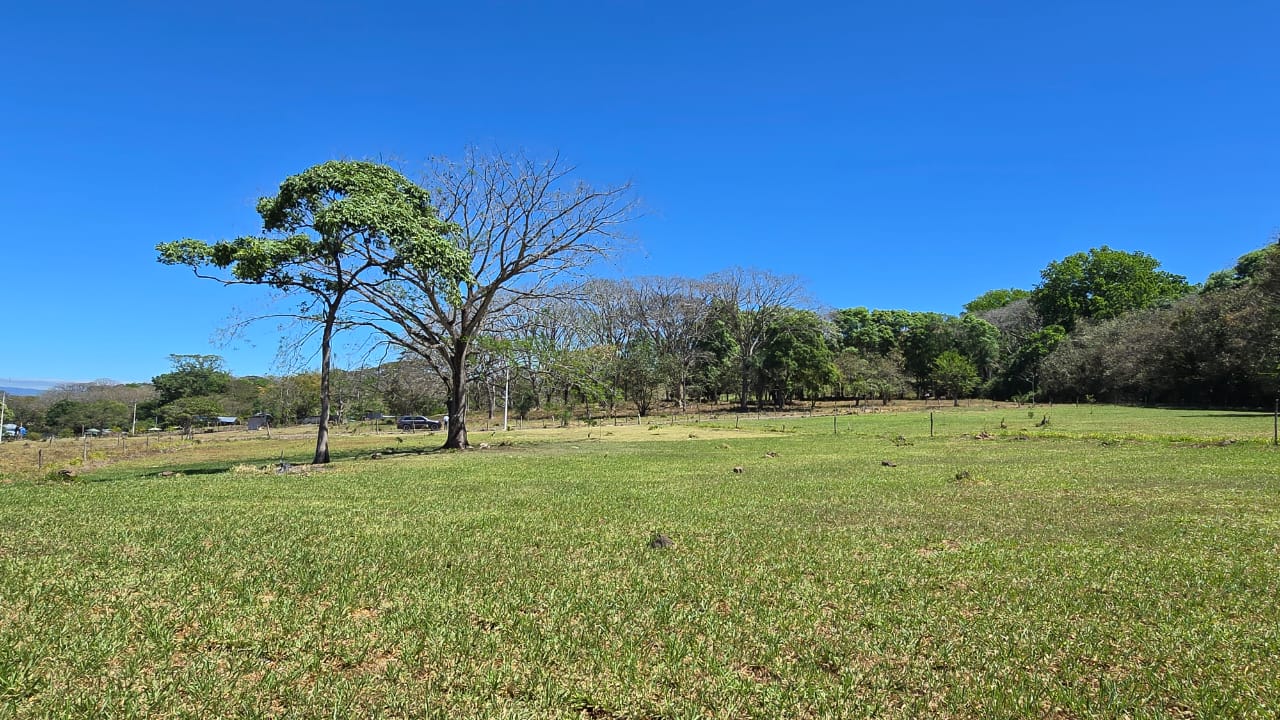 0 bed Land For Sale in Atenas, Alajuela - thumb 10