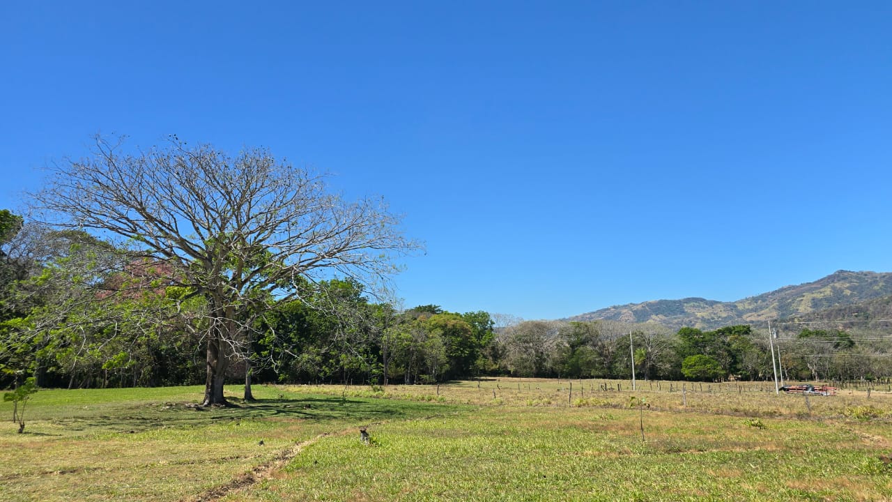 0 bed Land For Sale in Atenas, Alajuela - thumb 4