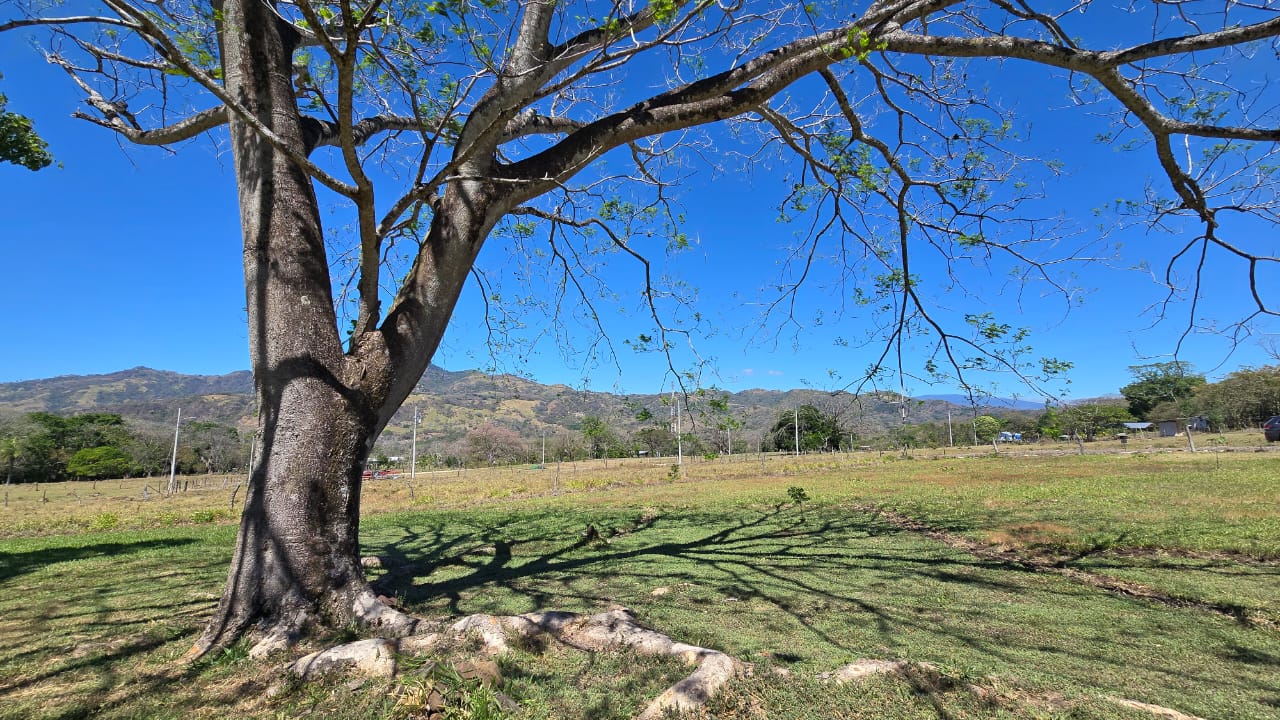 0 bed Land For Sale in Atenas, Alajuela - thumb 8