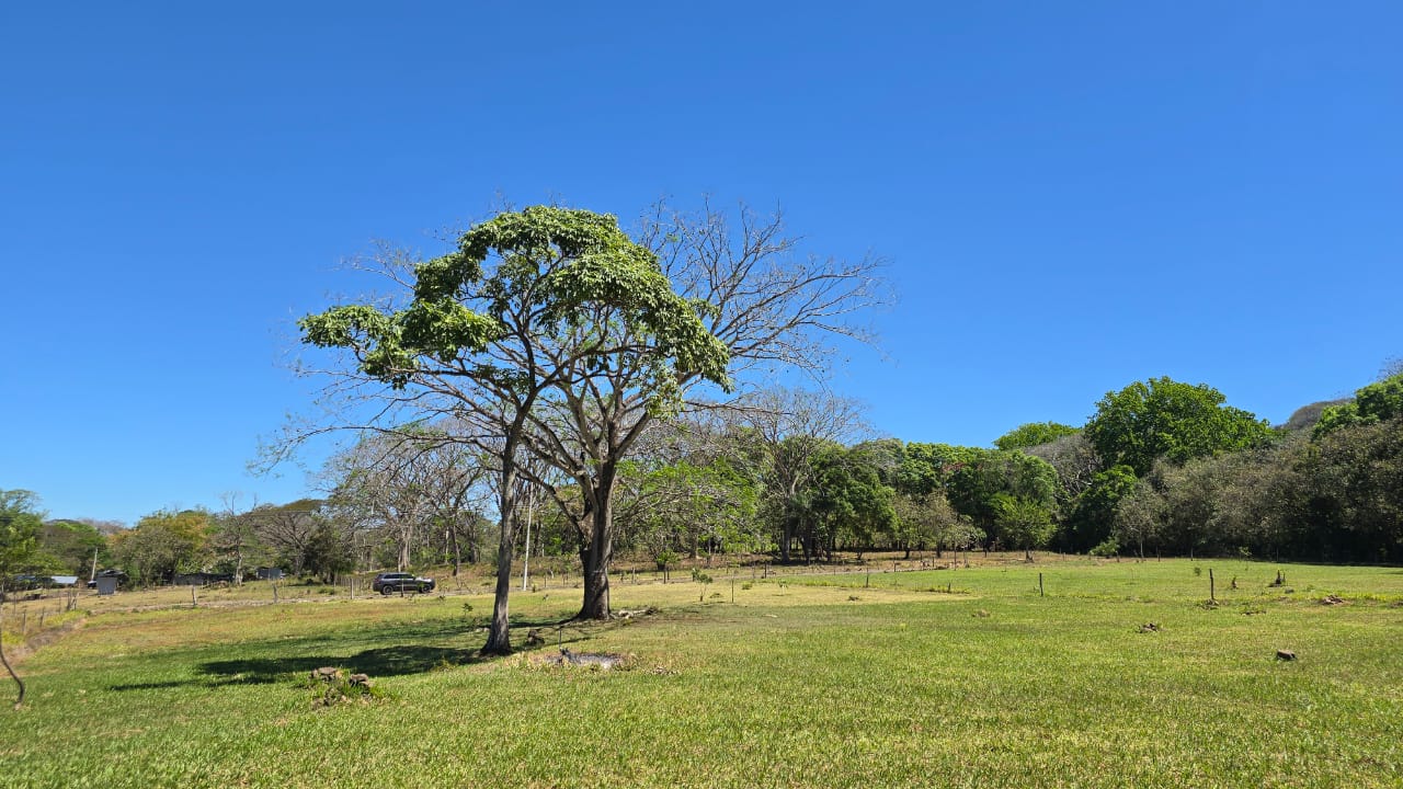 0 bed Land For Sale in Atenas, Alajuela - thumb 1
