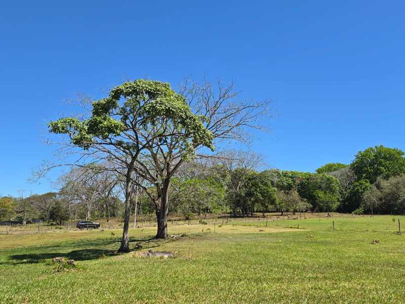 0 bed Land For Sale in Atenas, Alajuela - 1