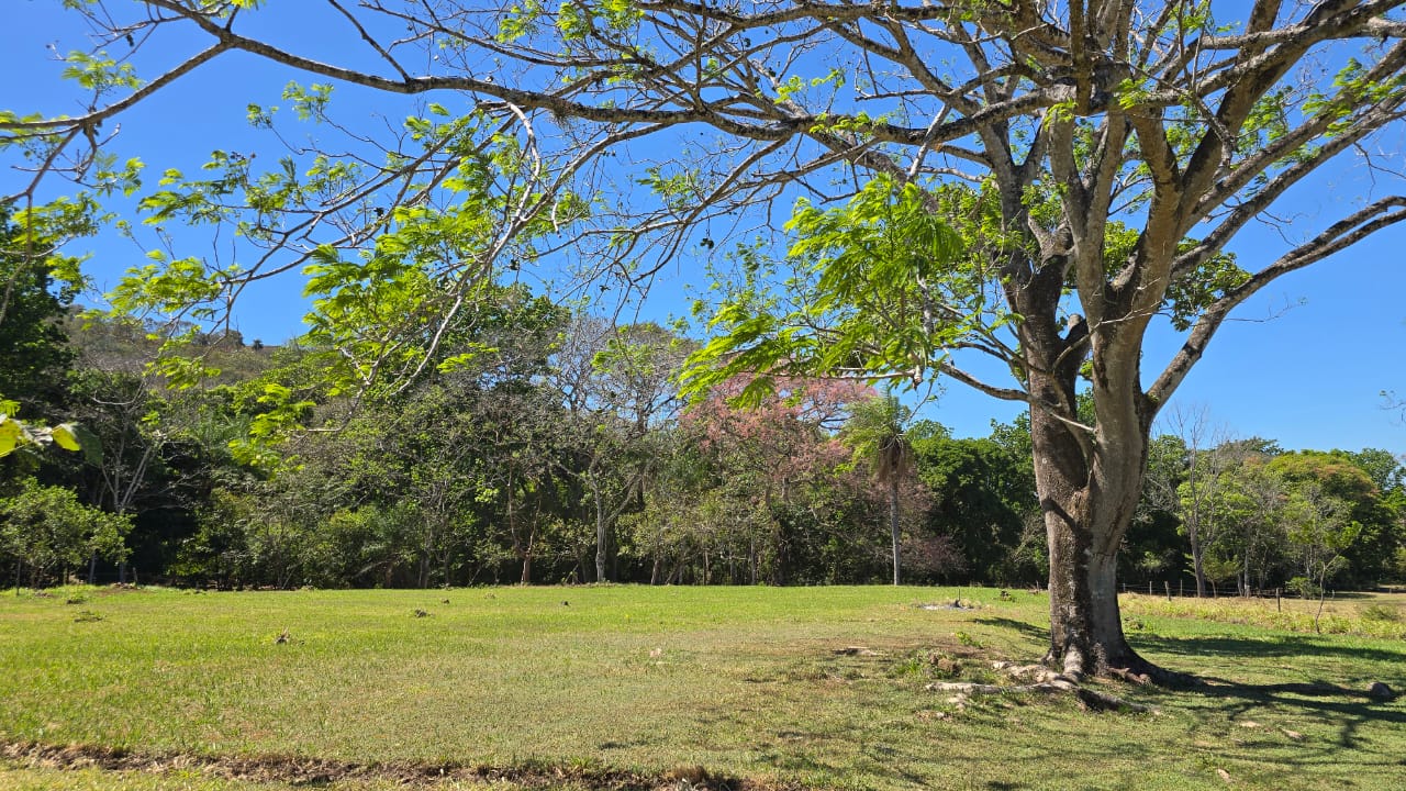 0 bed Land For Sale in Atenas, Alajuela - thumb 6