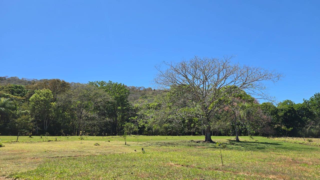0 bed Land For Sale in Atenas, Alajuela - thumb 7
