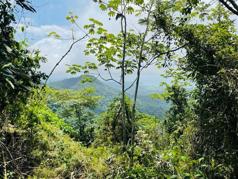 0 bed Land For Sale in Nicoya Peninsula, Guanacaste - 1
