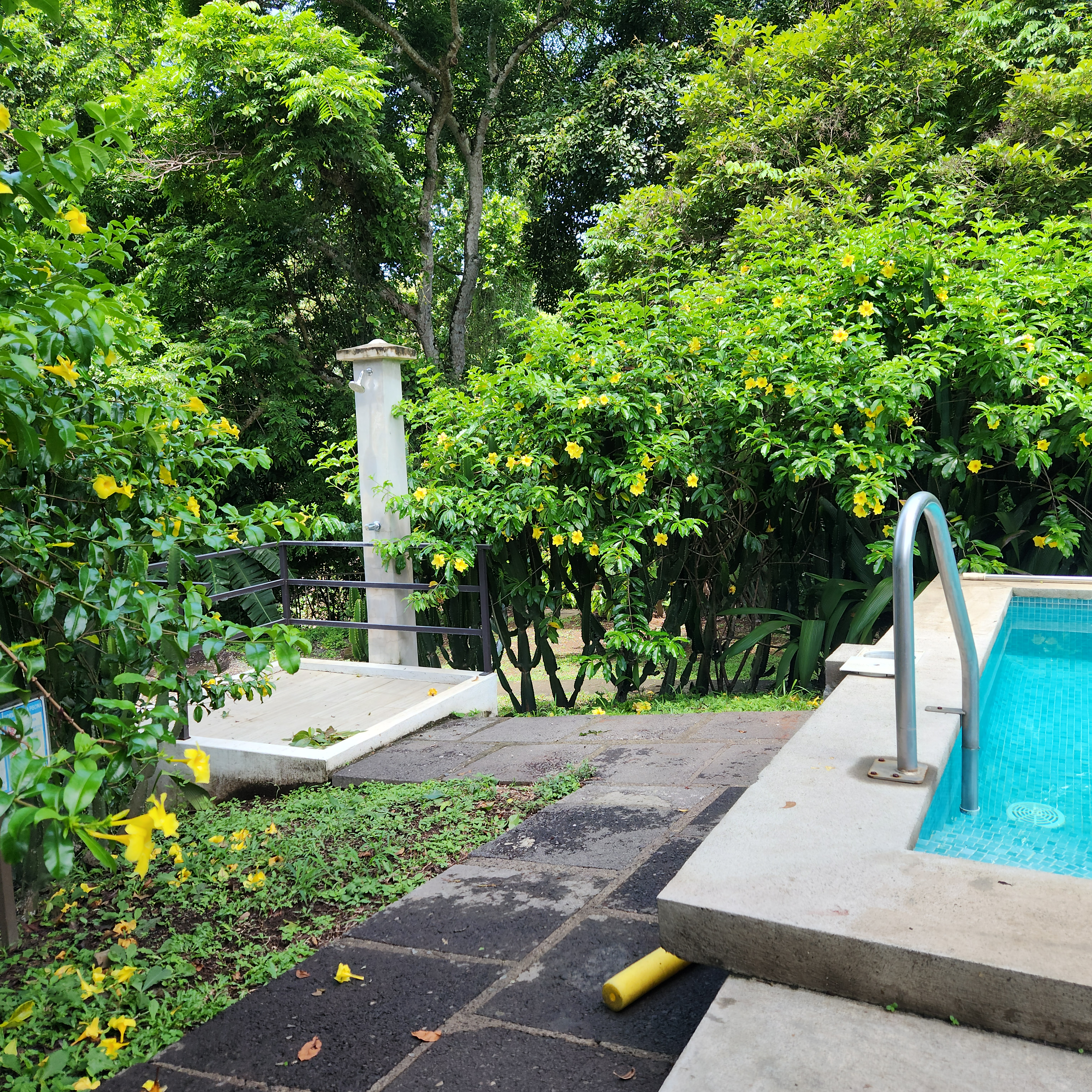 2 bed Apartment For Rent in Atenas, Alajuela - thumb 16