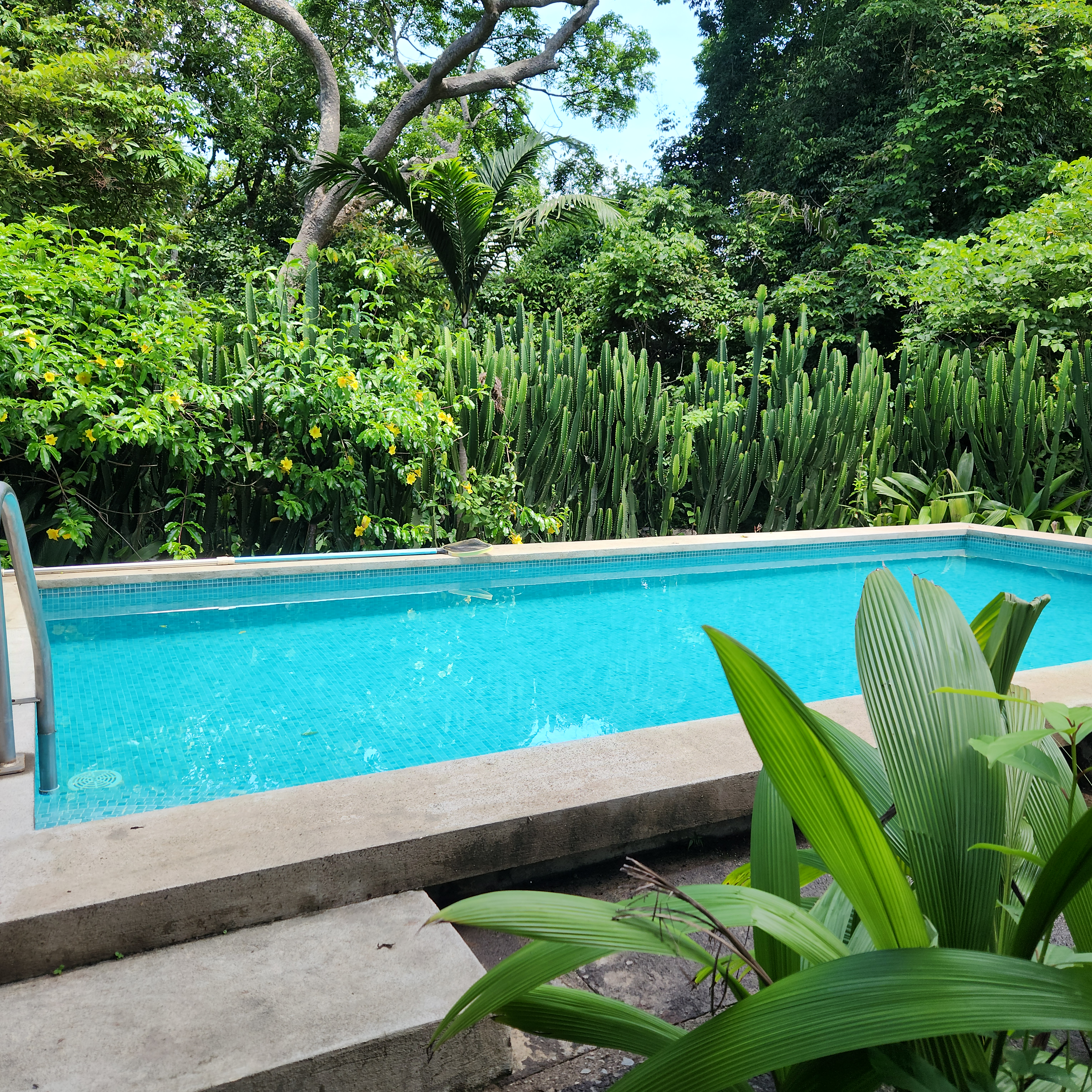 2 bed Apartment For Rent in Atenas, Alajuela - thumb 15