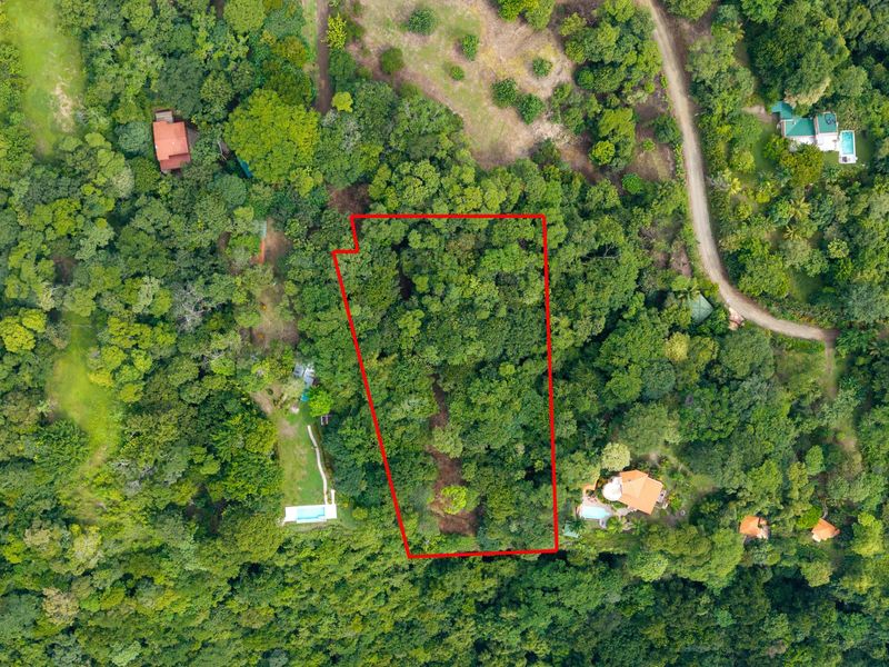 0 bed Land For Sale in Delicias, Puntarenas - 1