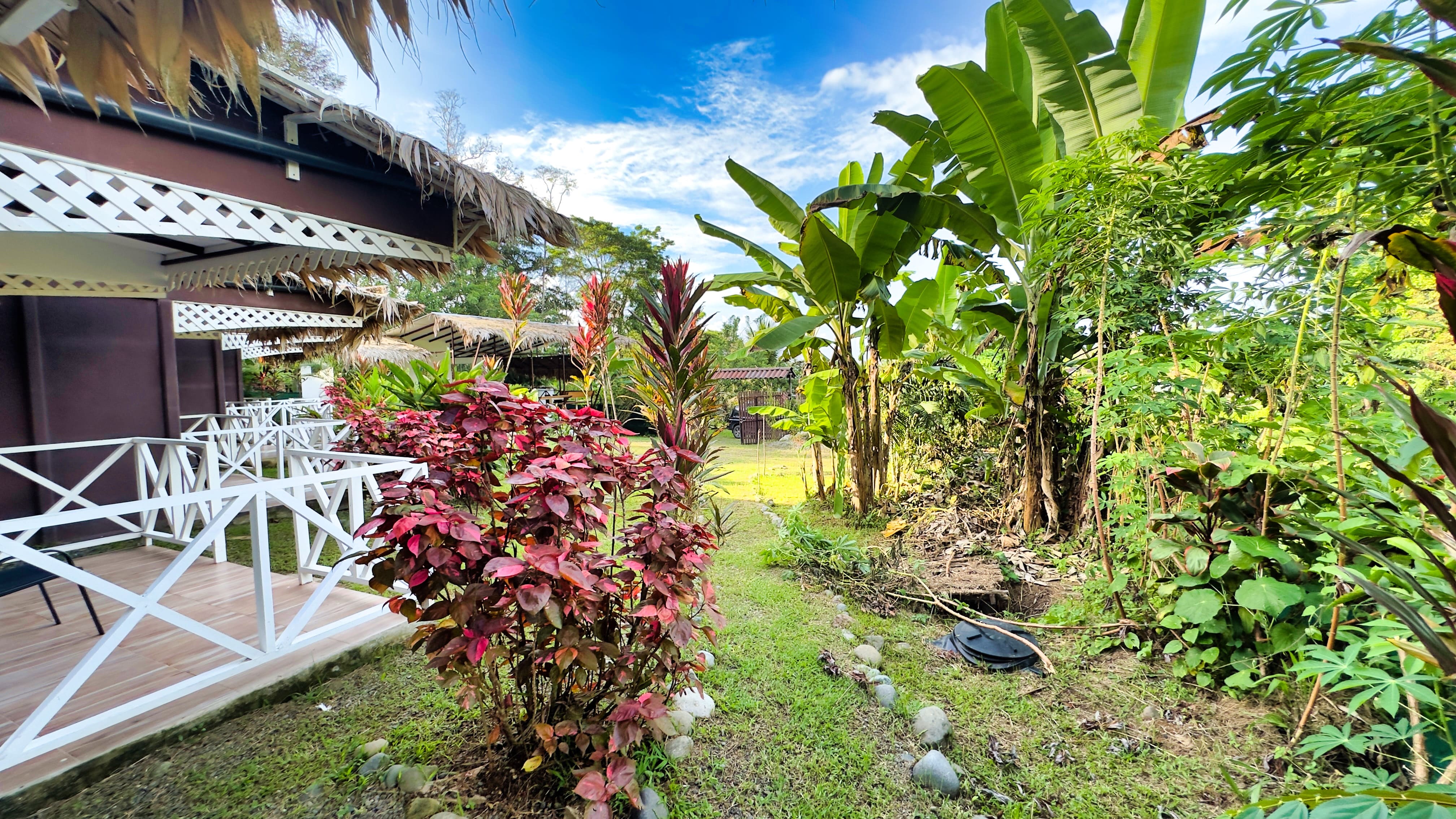5 bed Hotel / Leisure For Sale in Cahuita, Limón - thumb 5