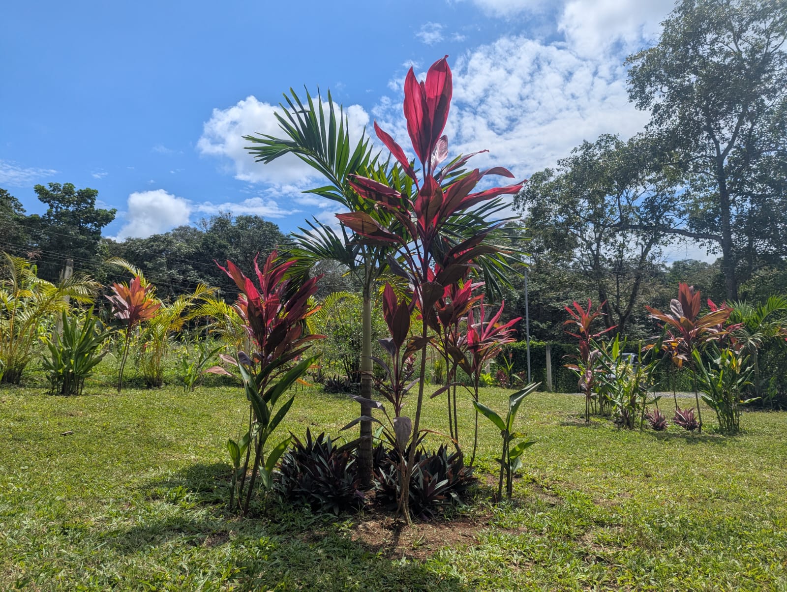 4 bed Single Family Homes For Rent in Orotina, Alajuela - thumb 25