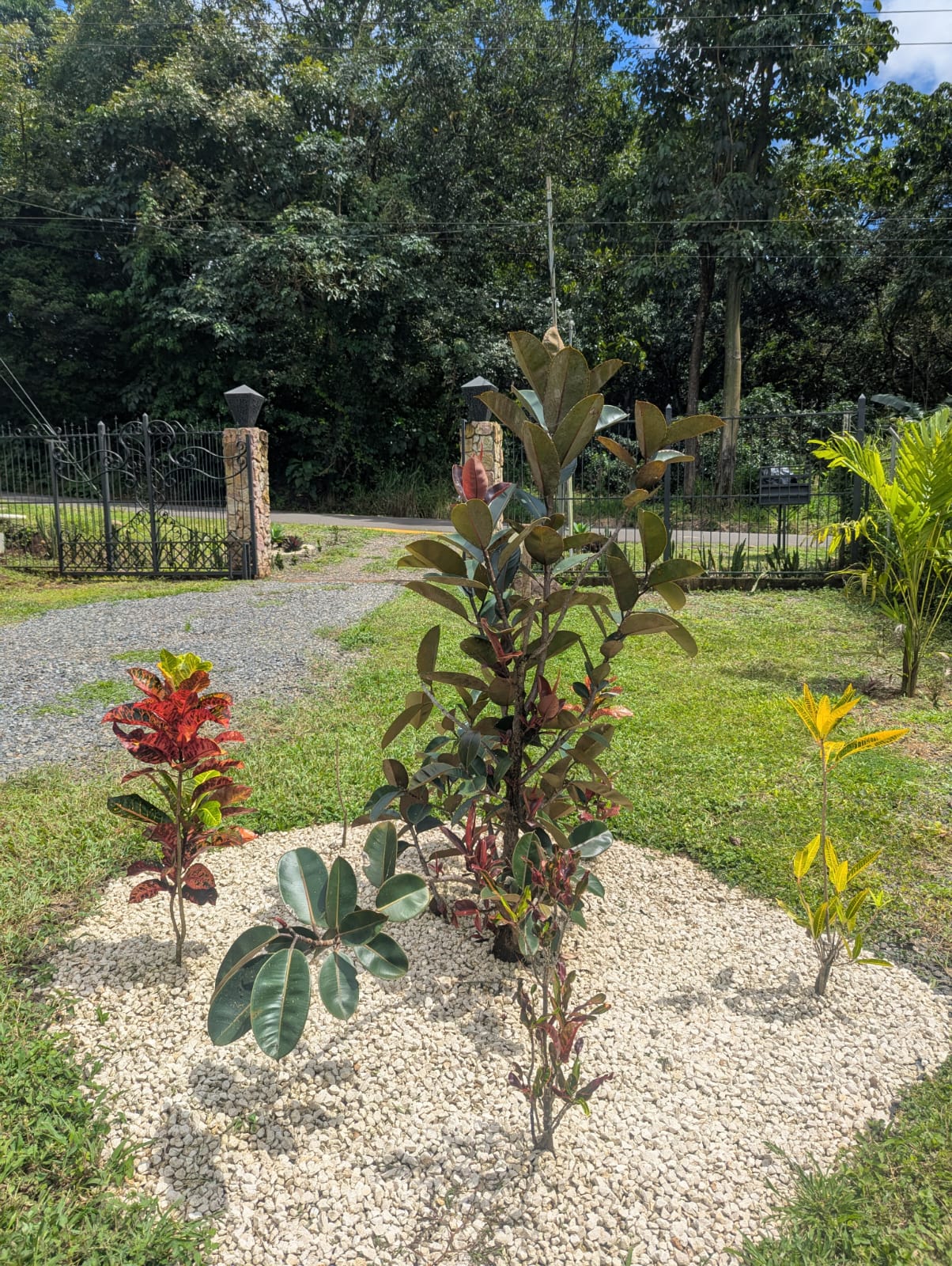 4 bed Single Family Homes For Rent in Orotina, Alajuela - thumb 23