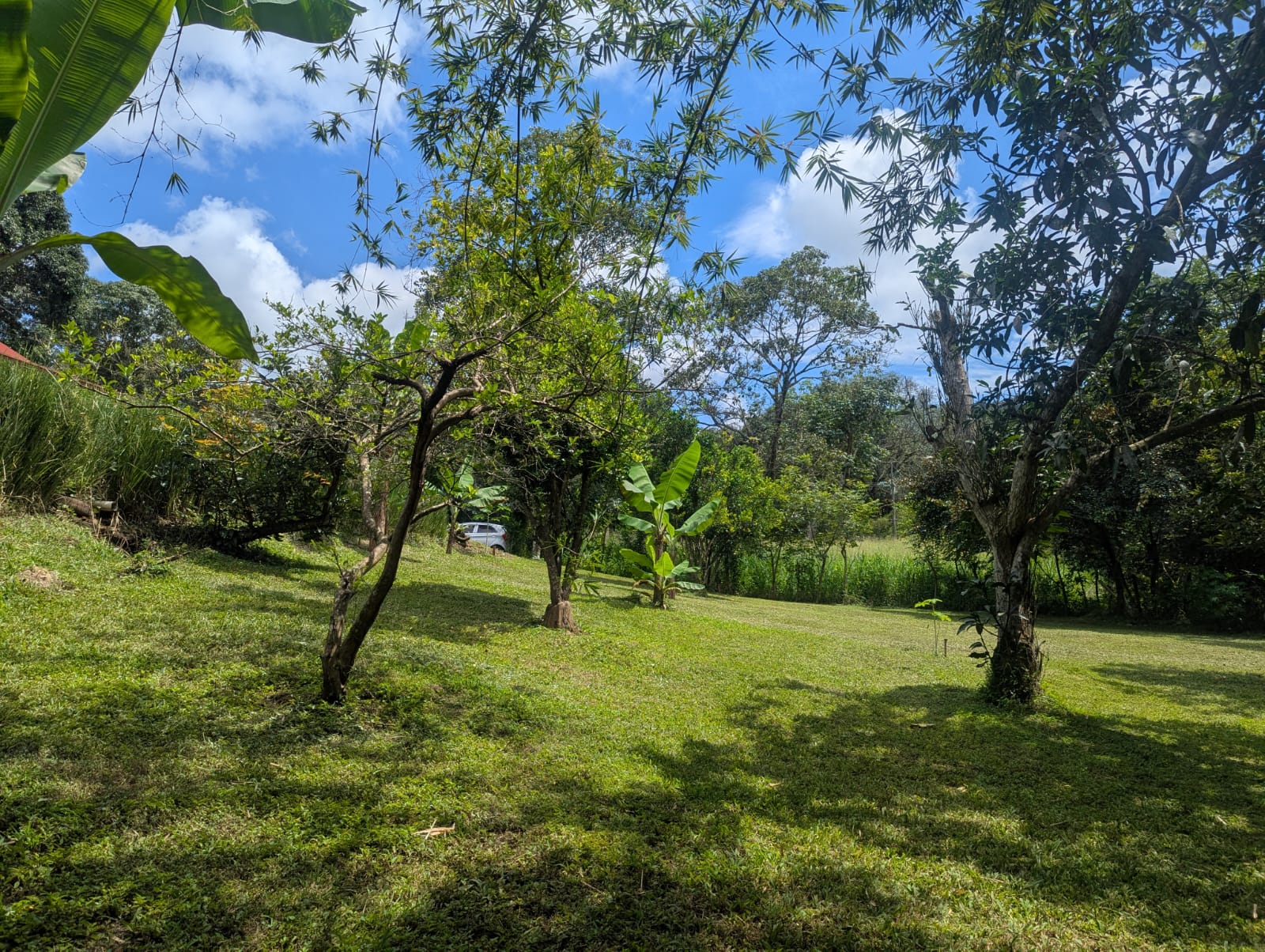 4 bed Single Family Homes For Rent in Orotina, Alajuela - thumb 24