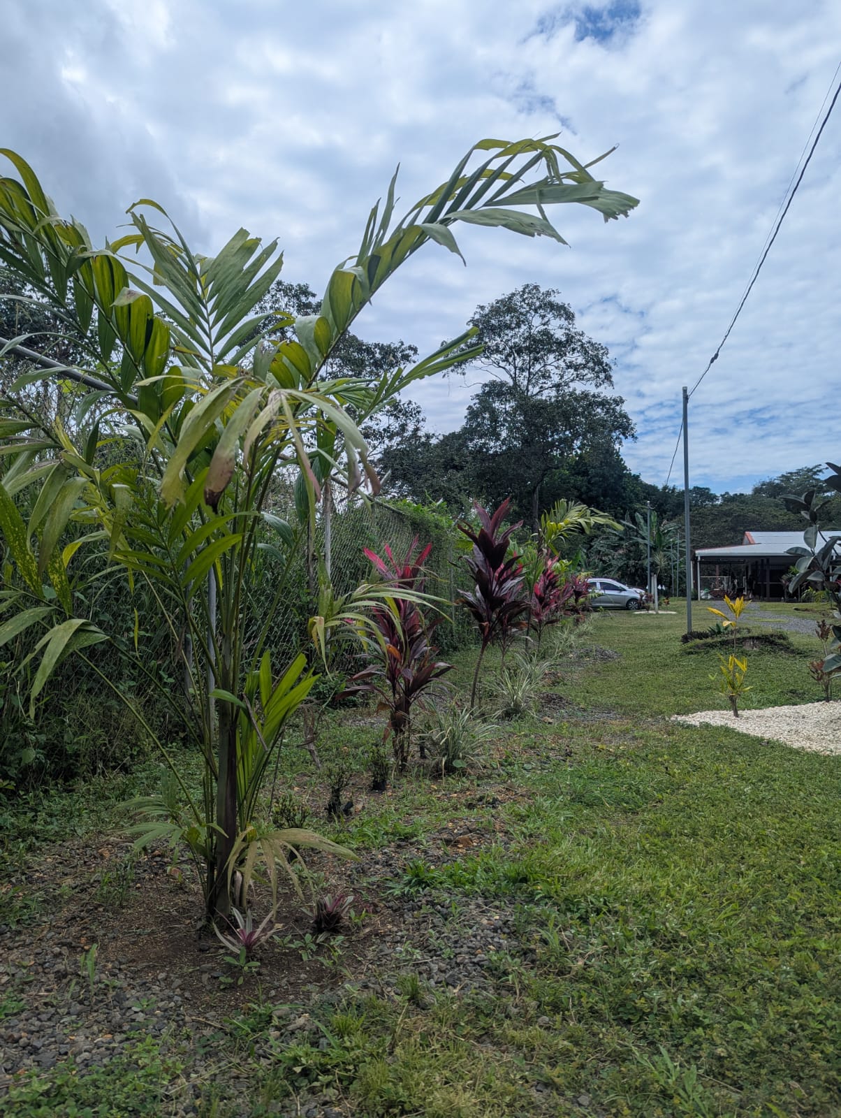 4 bed Single Family Homes For Rent in Orotina, Alajuela - thumb 18