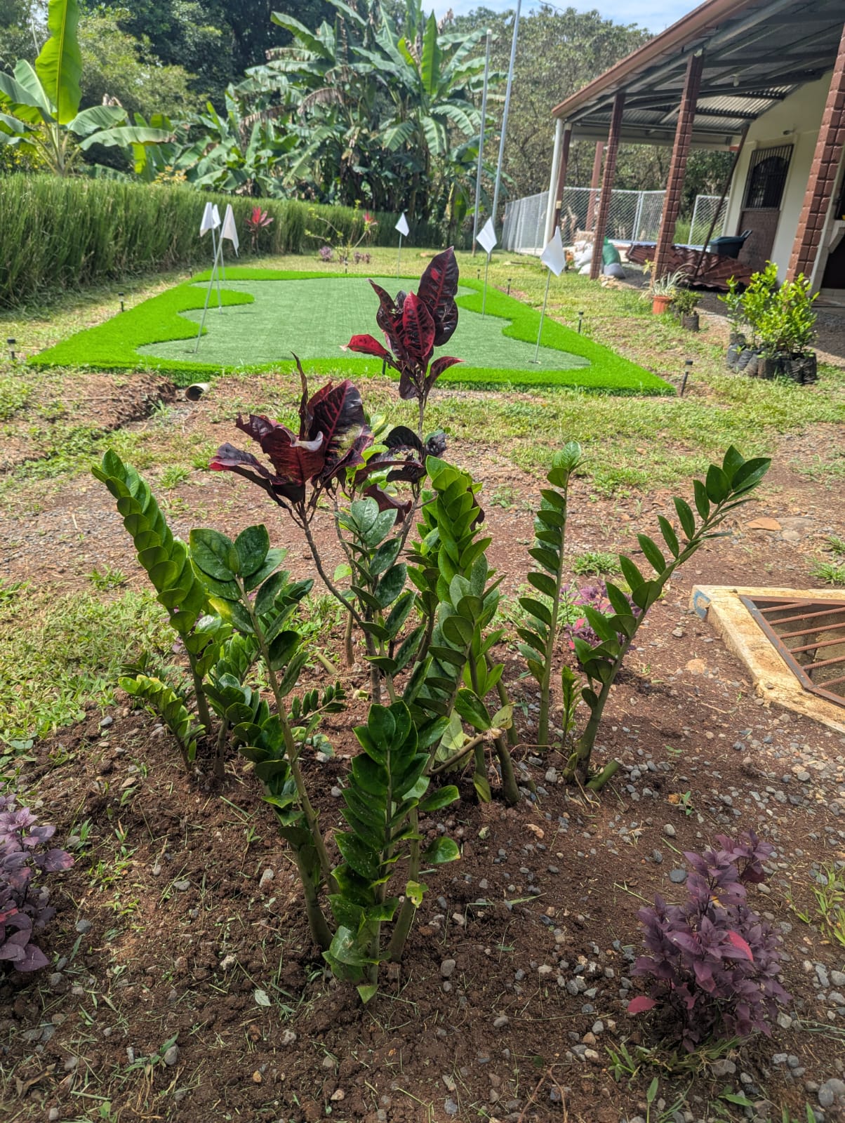 4 bed Single Family Homes For Rent in Orotina, Alajuela - thumb 19