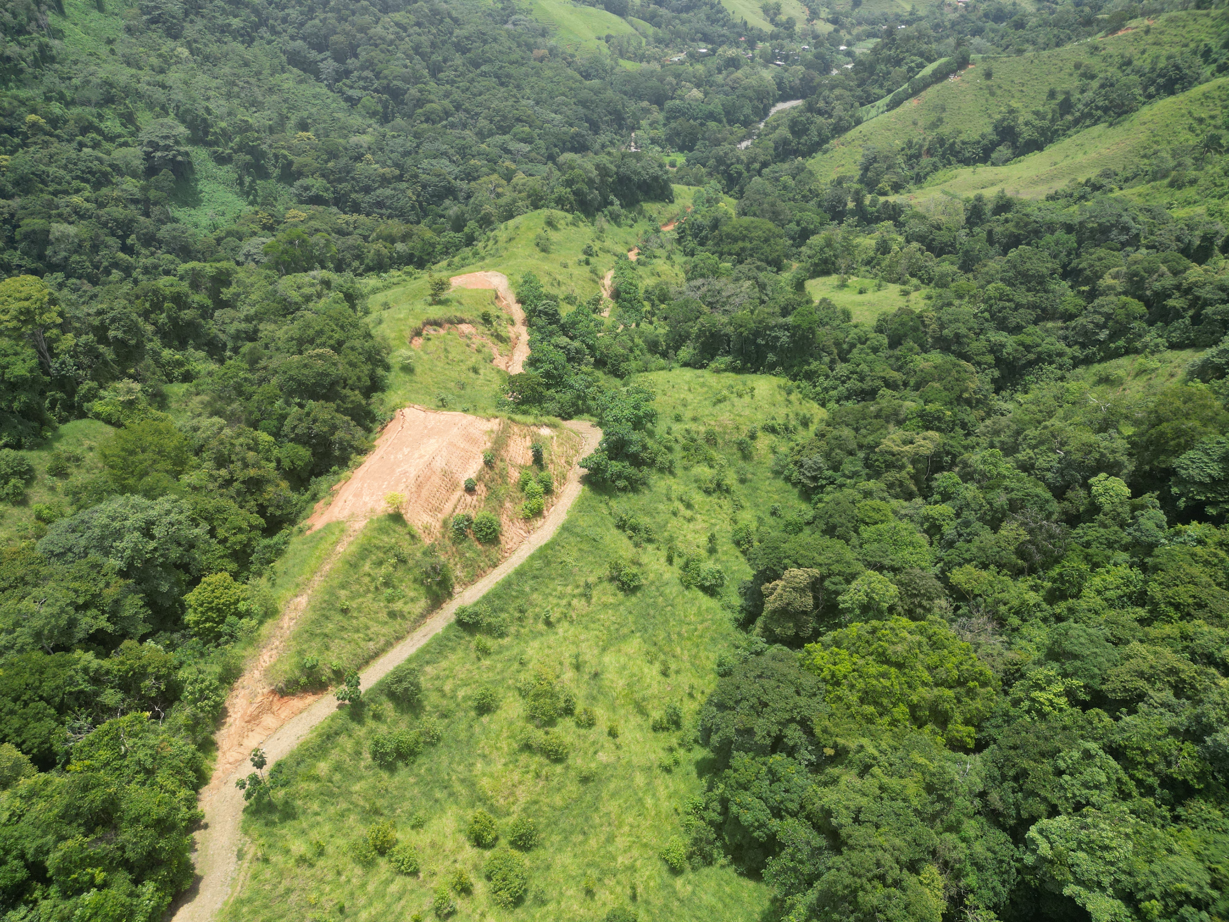 0 bed Land For Sale in Dominical, Puntarenas - thumb 10