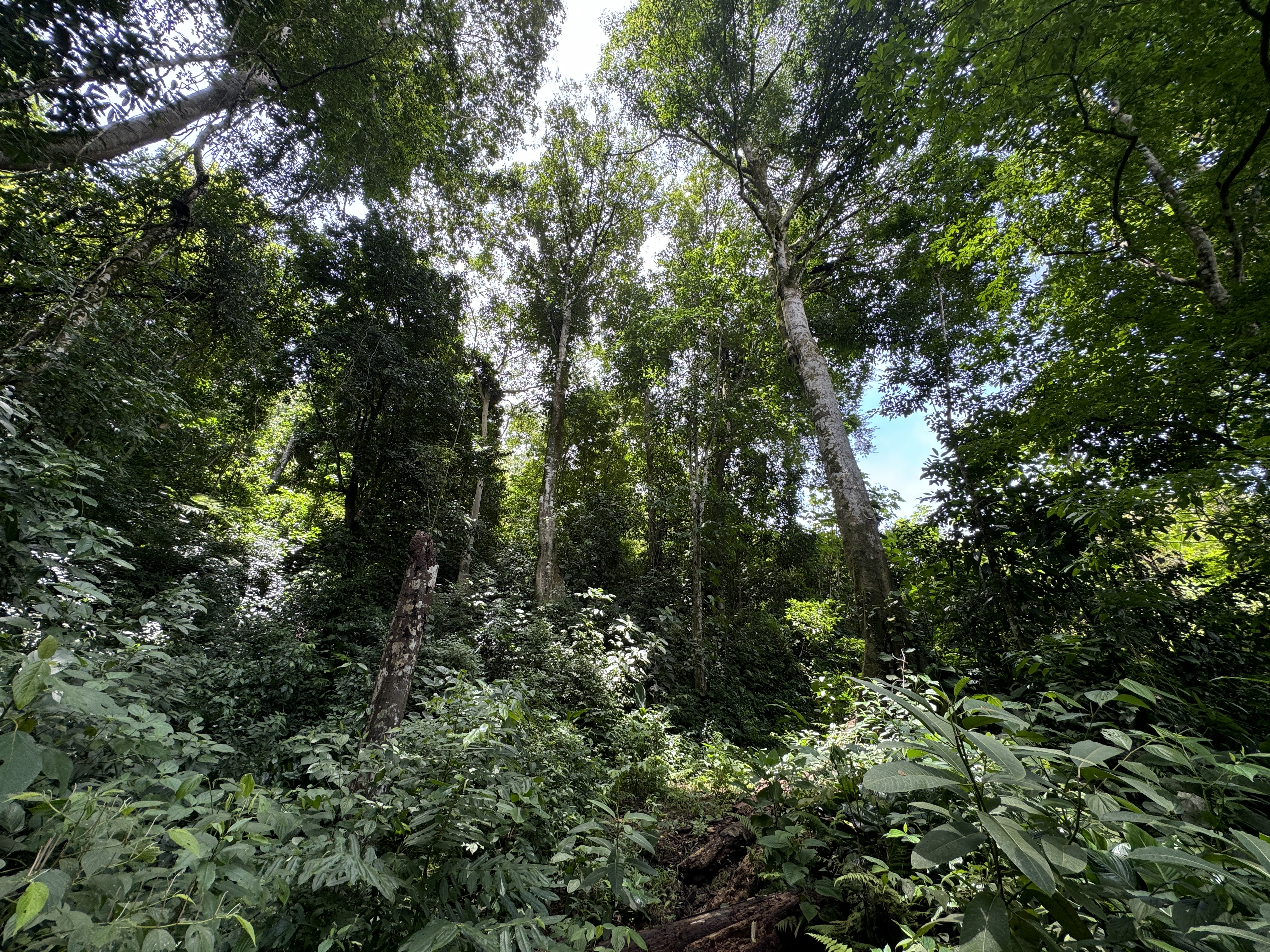 0 bed Land For Sale in Dominical, Puntarenas - thumb 24