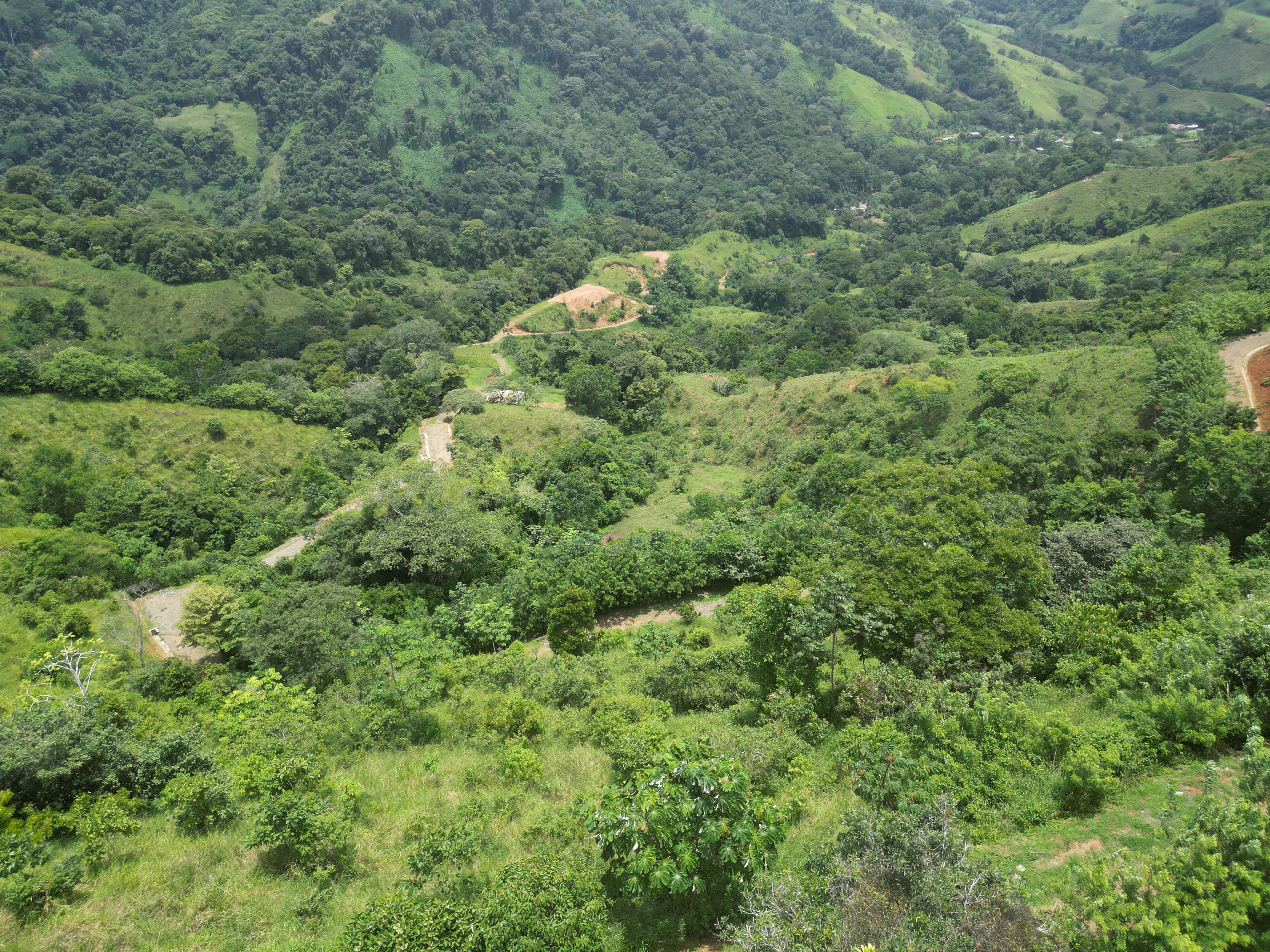 0 bed Land For Sale in Dominical, Puntarenas - thumb 3