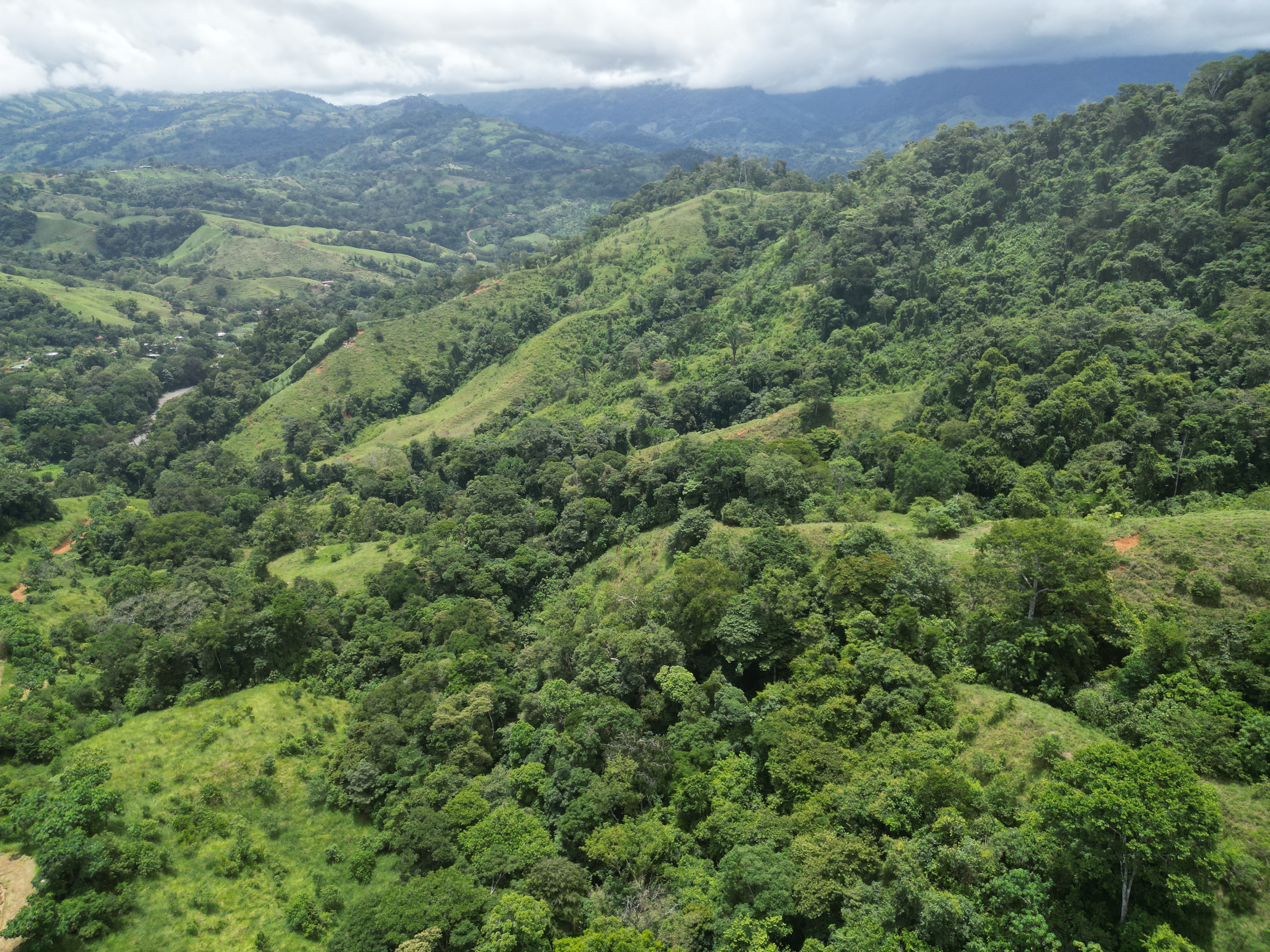 0 bed Land For Sale in Dominical, Puntarenas - thumb 11