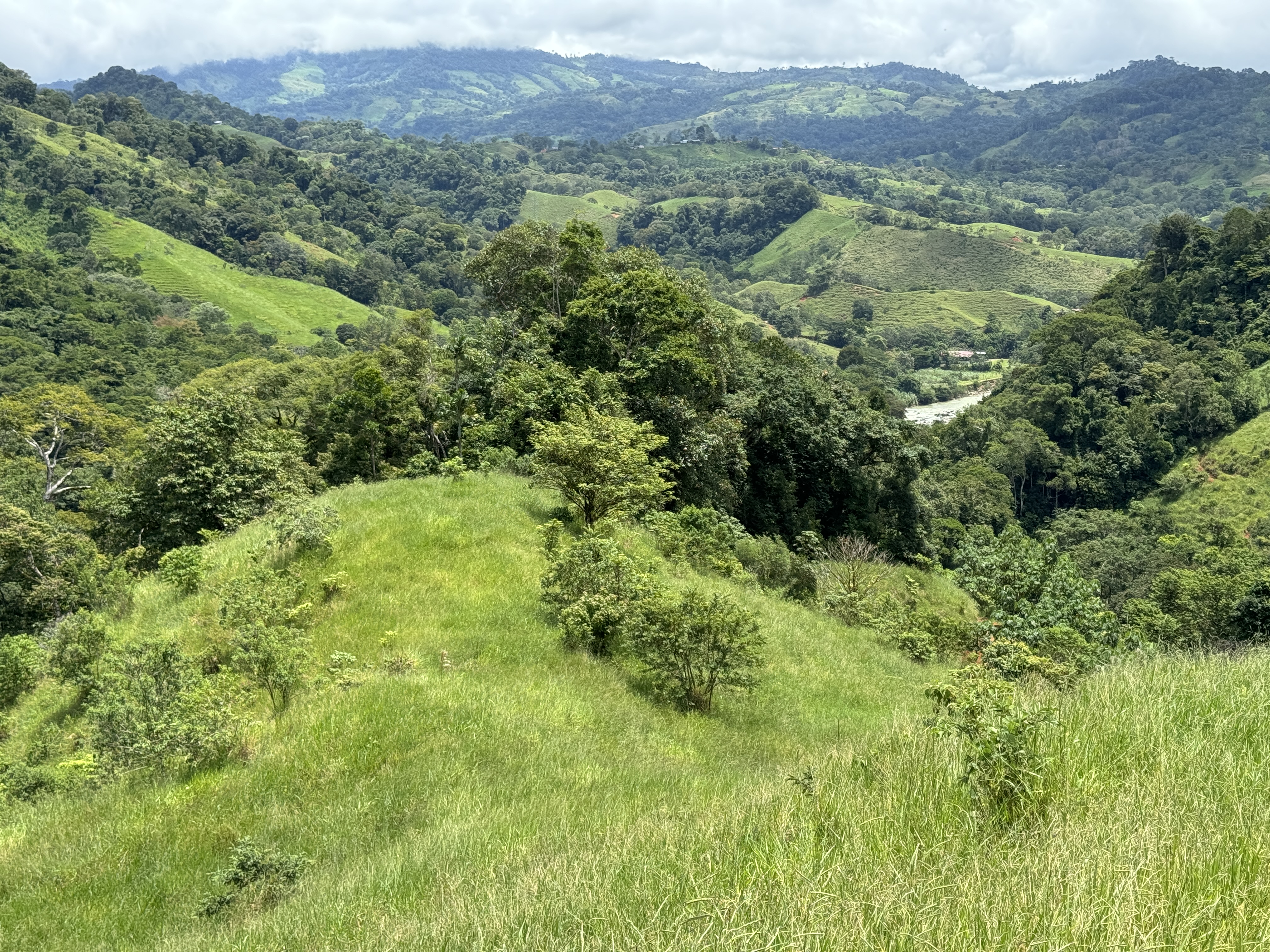 0 bed Land For Sale in Dominical, Puntarenas - thumb 26