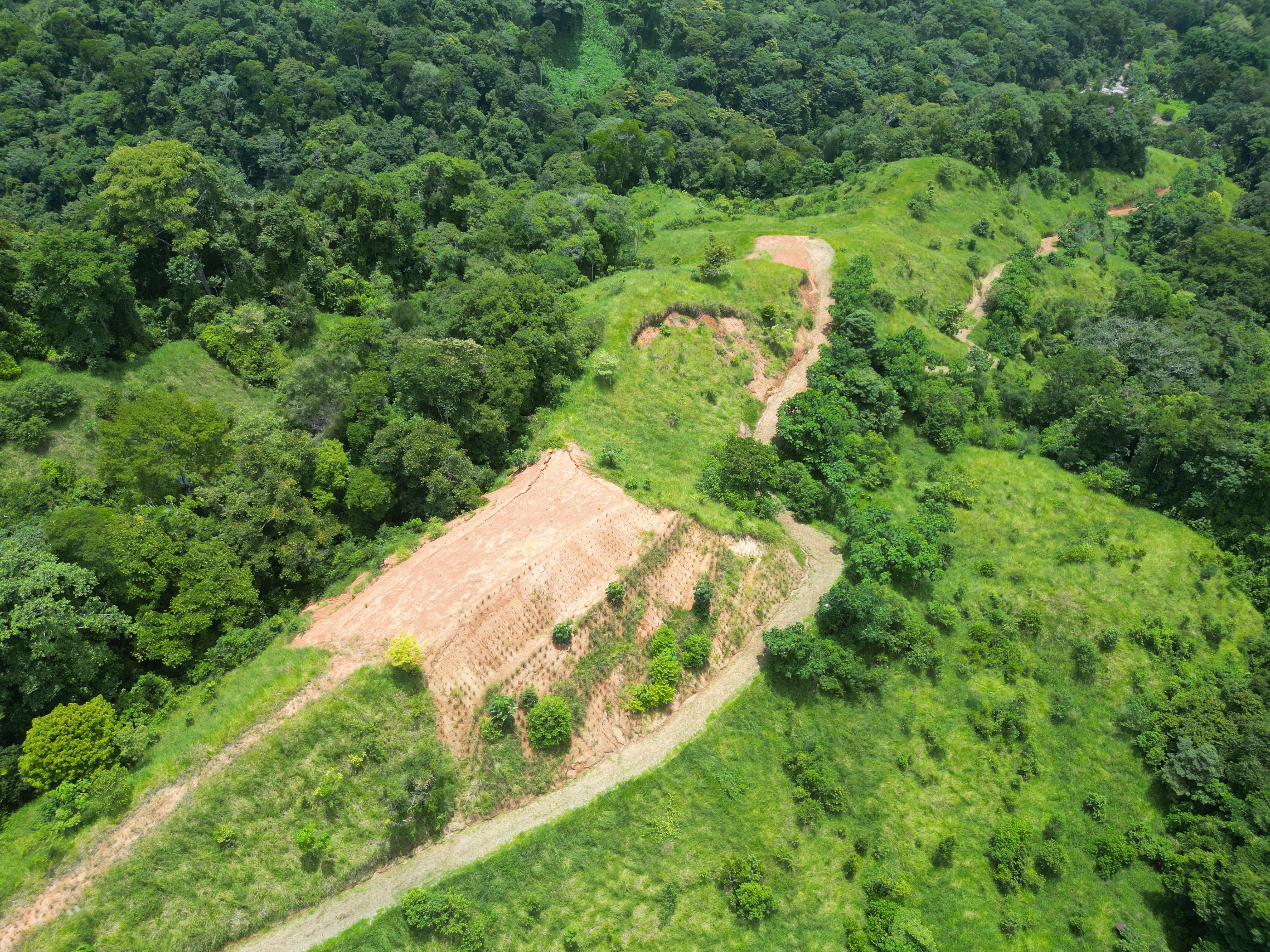 0 bed Land For Sale in Dominical, Puntarenas - thumb 2