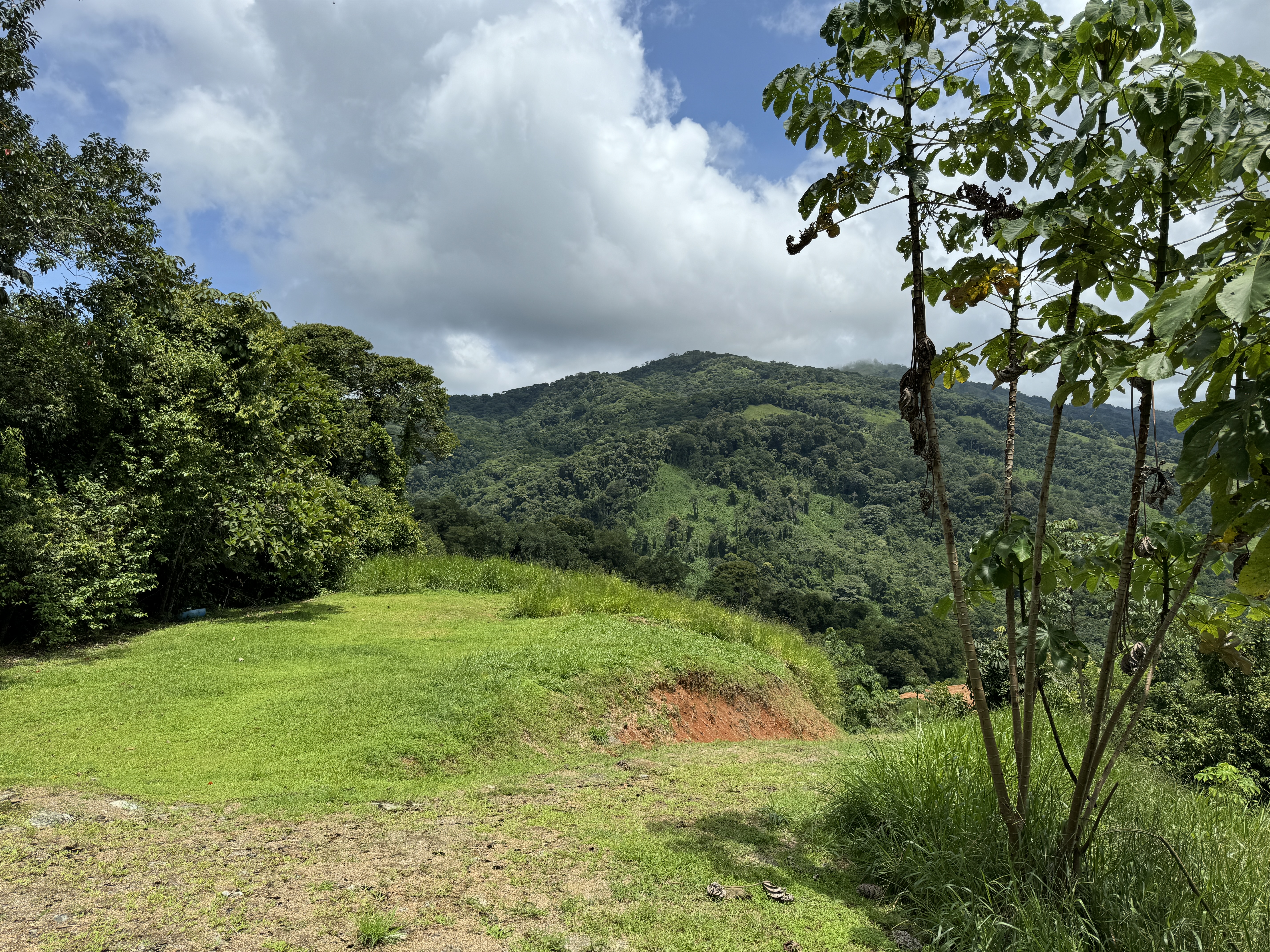 0 bed Land For Sale in Dominical, Puntarenas - thumb 21