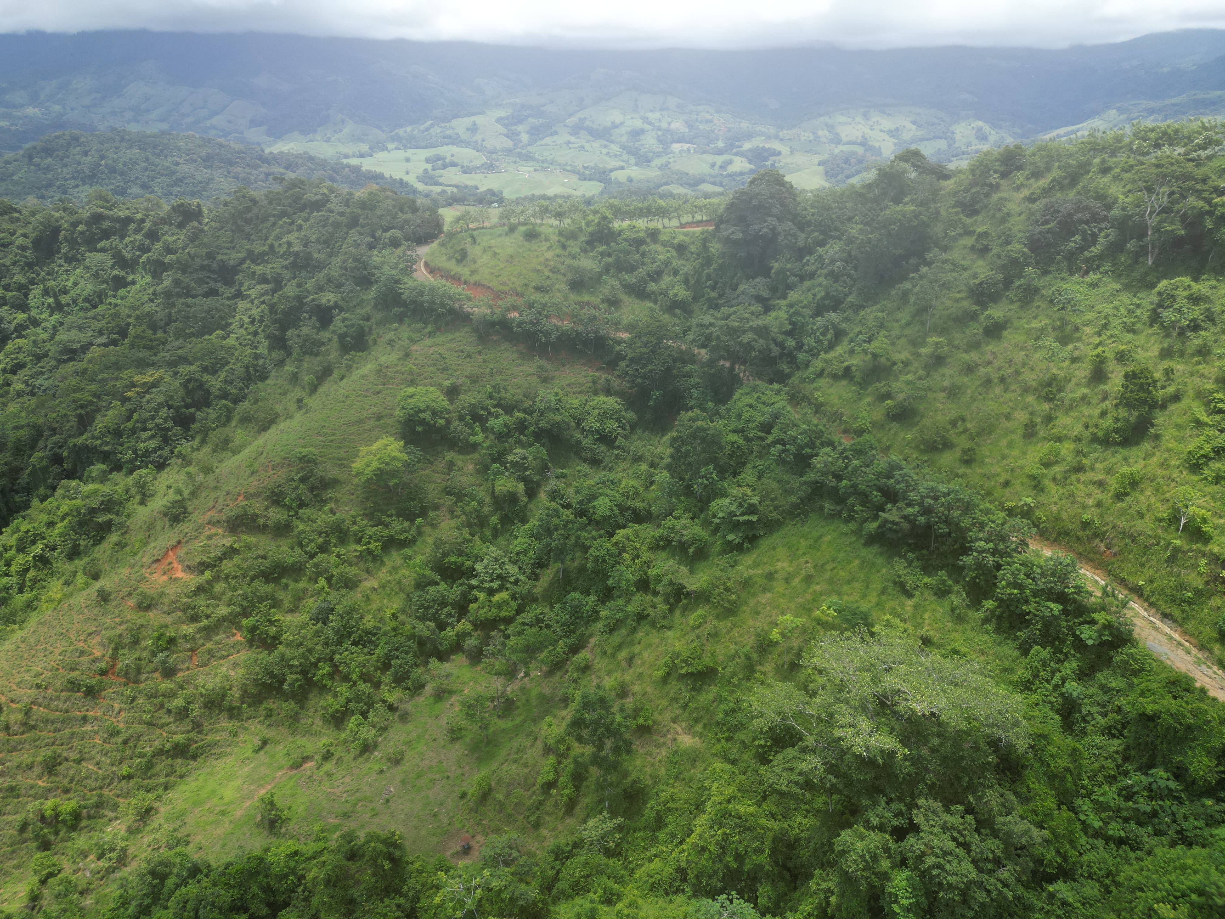 0 bed Land For Sale in Dominical, Puntarenas - thumb 9