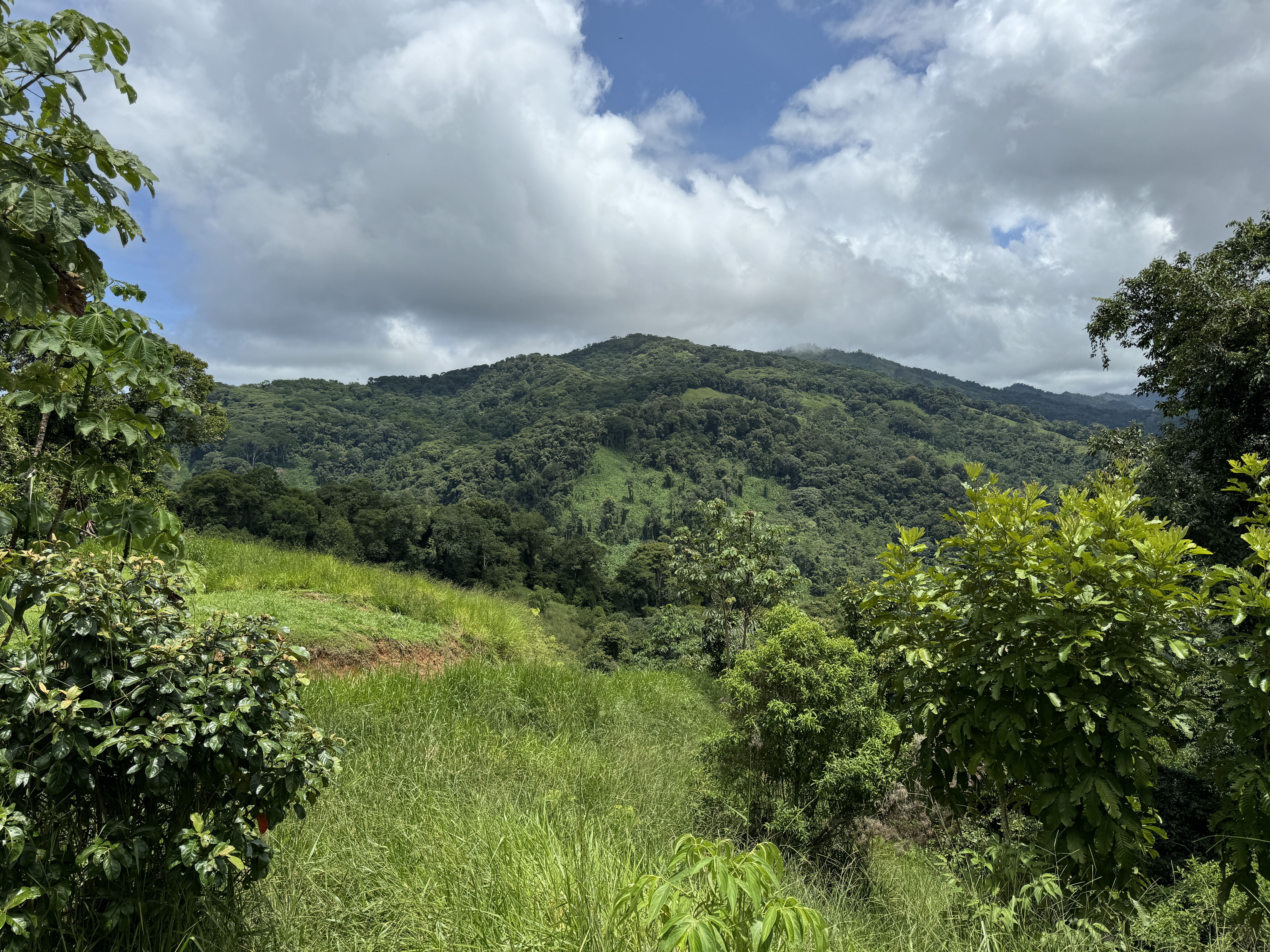 0 bed Land For Sale in Dominical, Puntarenas - thumb 20